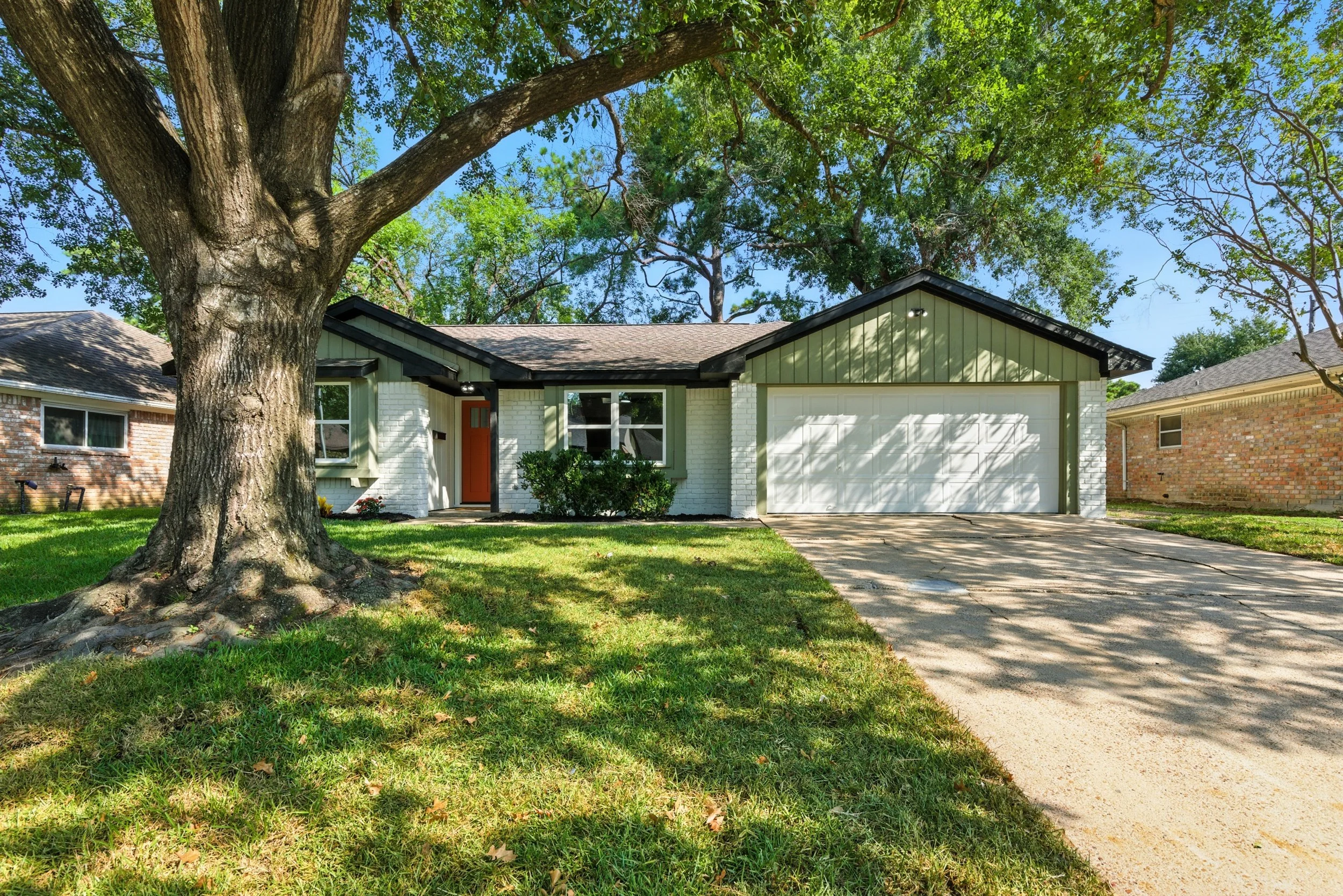 6214 spruce forest_ (1).jpg