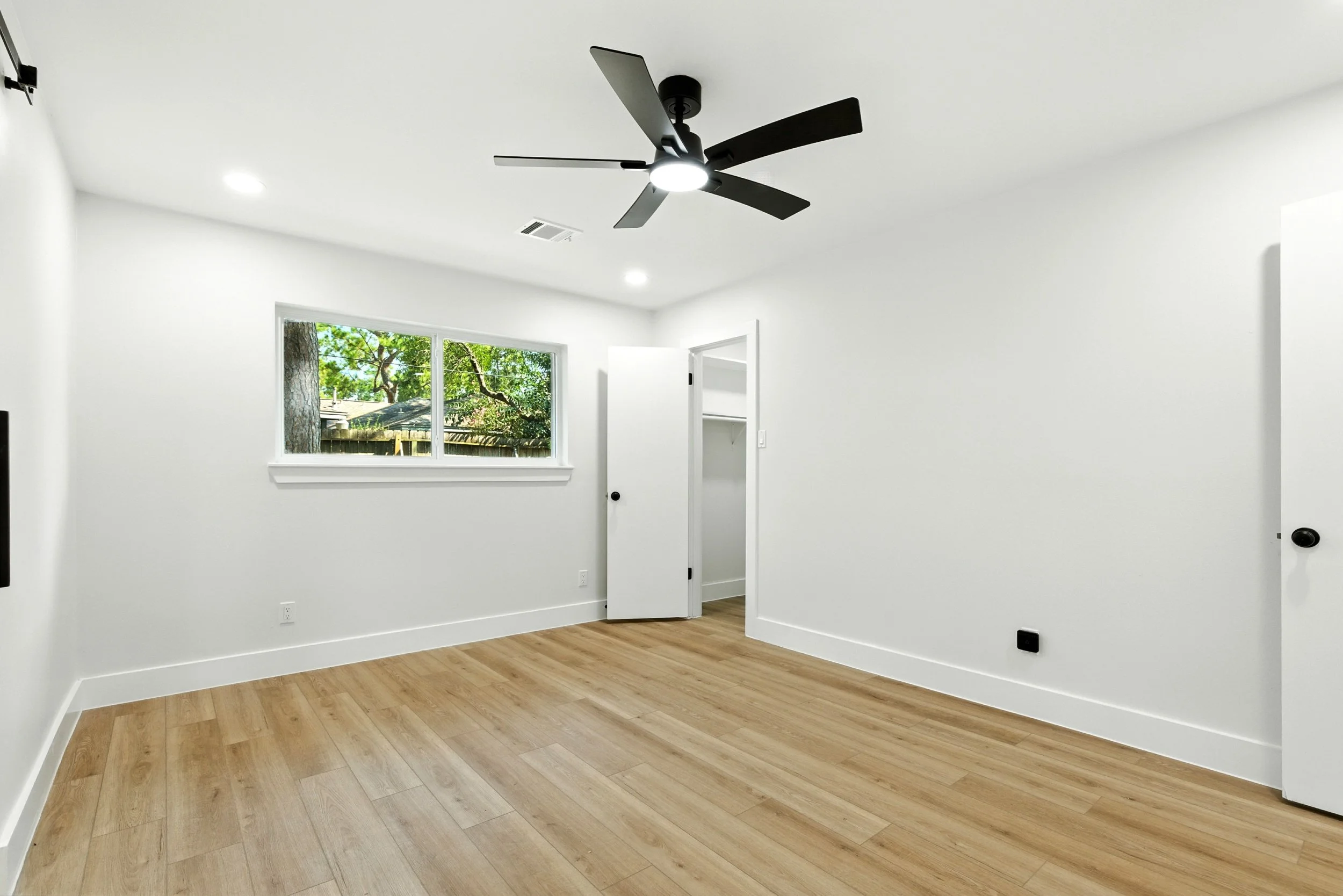 6214 spruce forest_ (22).jpg