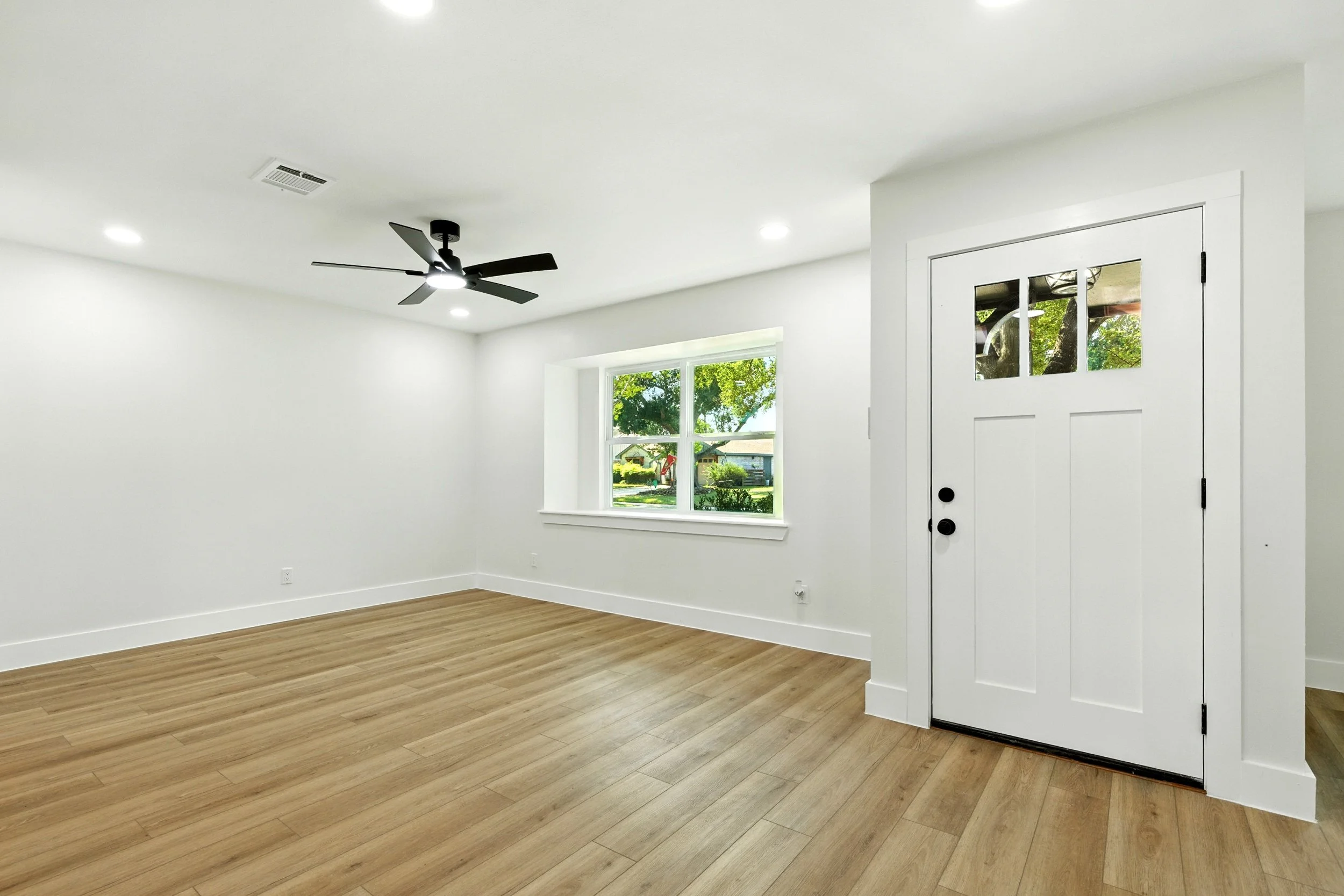 6214 spruce forest_ (4).jpg