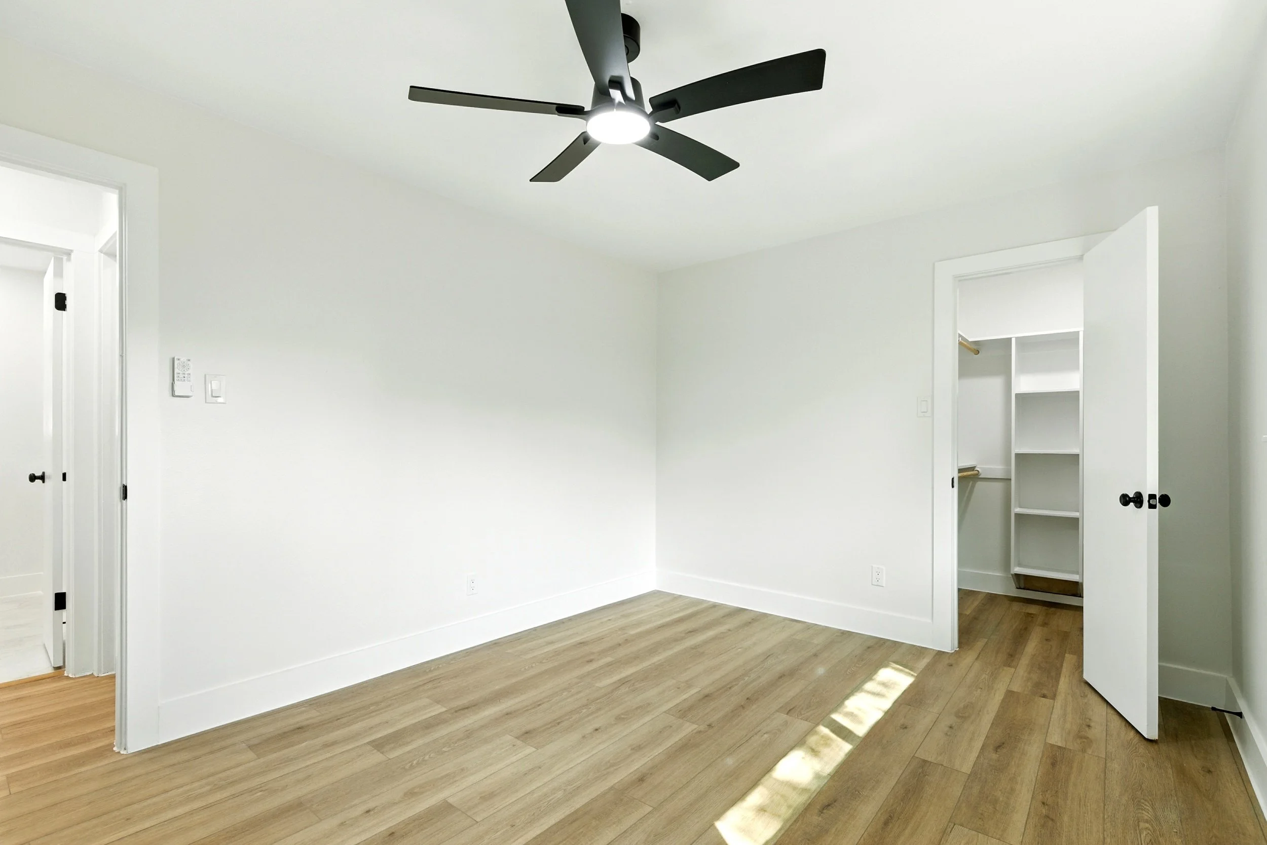 6214 spruce forest_ (20).jpg