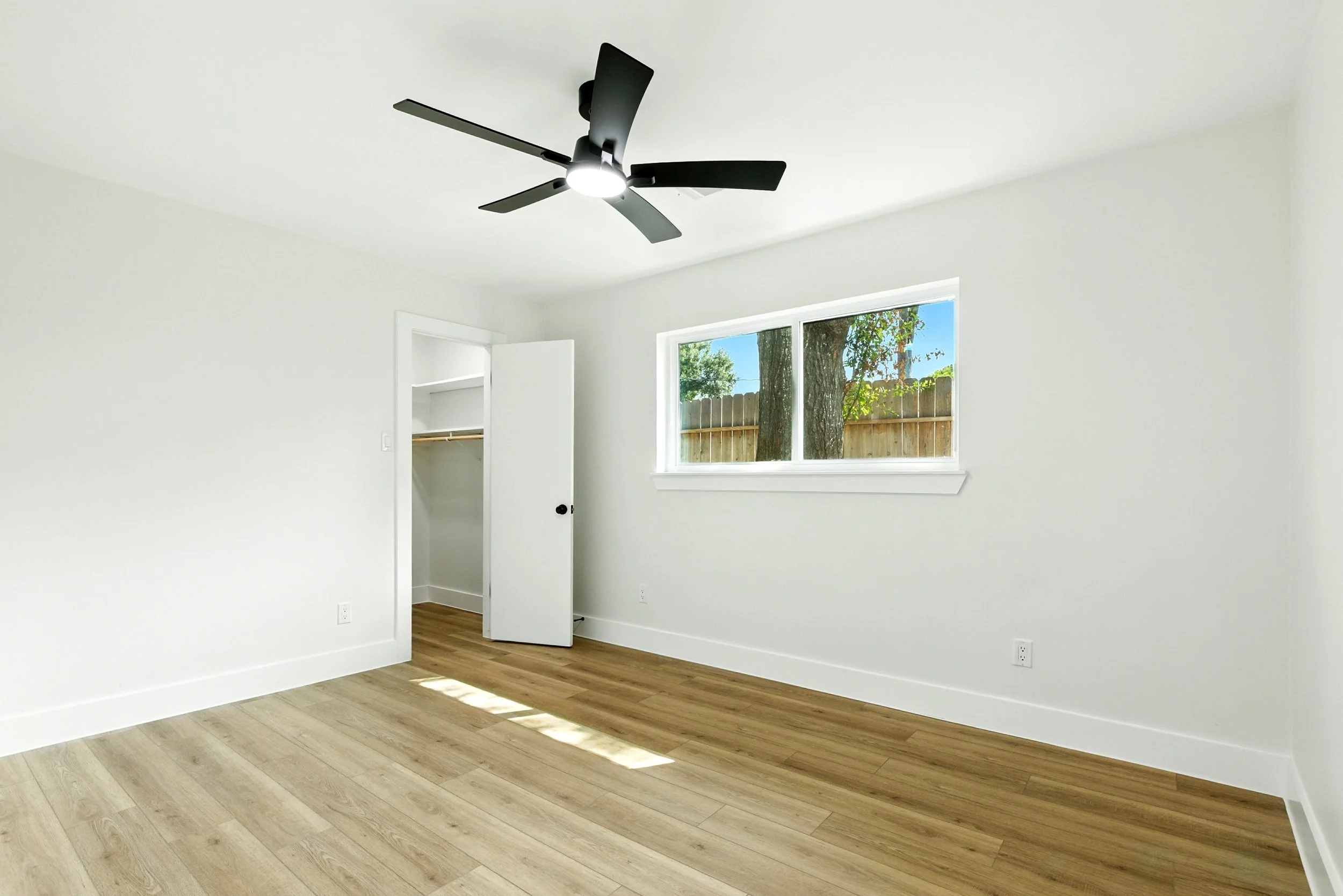 6214 spruce forest_ (19).jpg