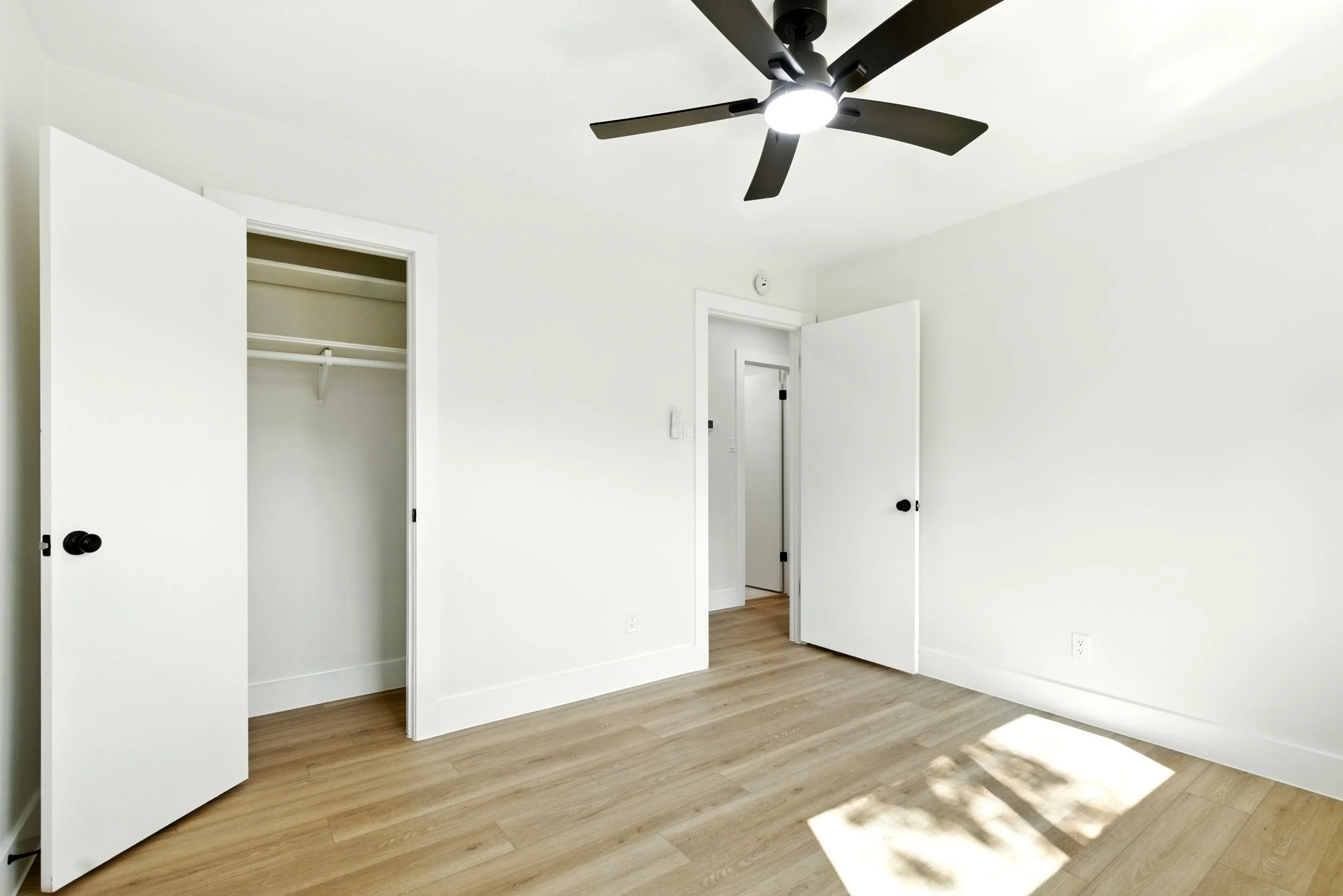6214 spruce forest_ (15).jpg