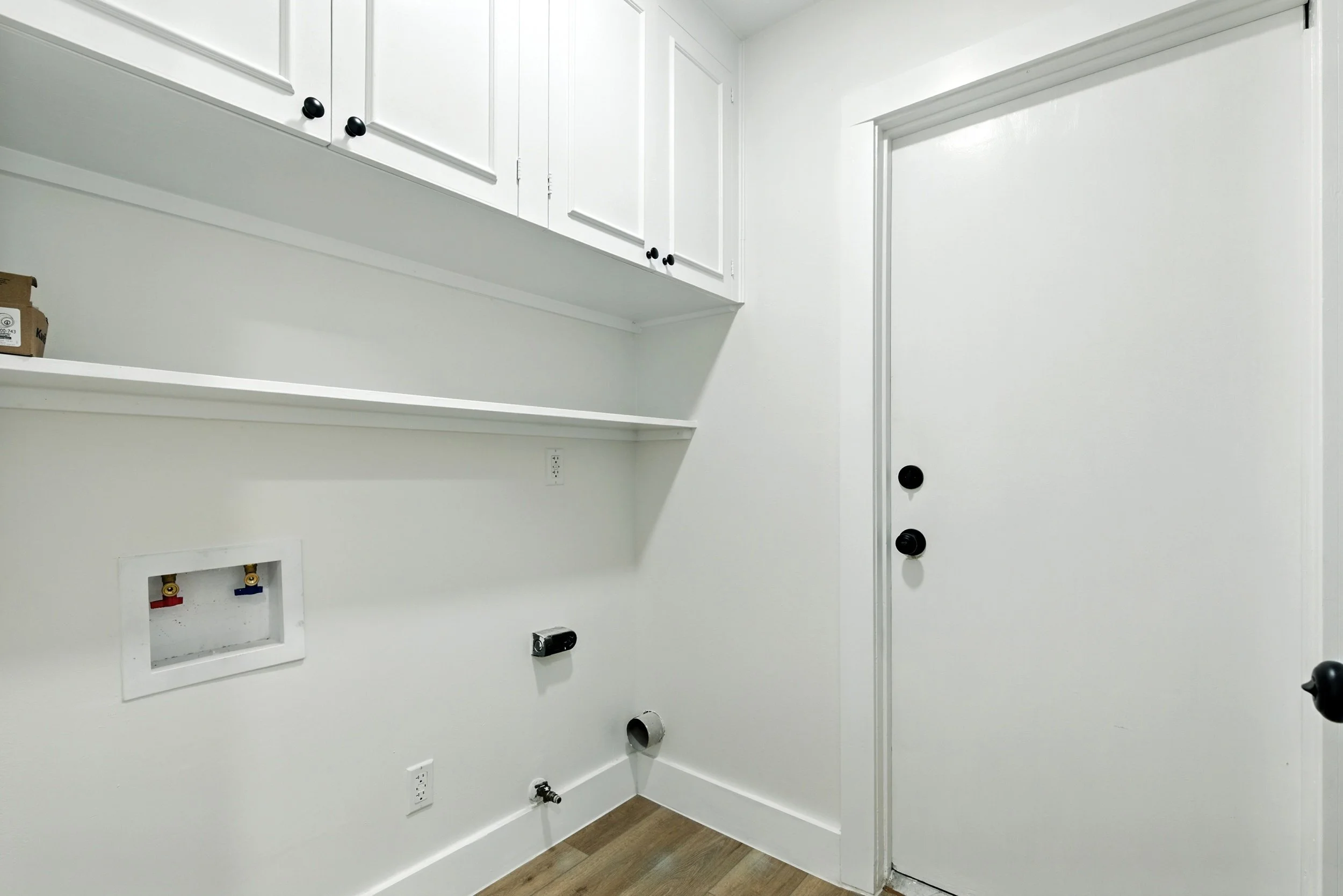6214 spruce forest_ (13).jpg