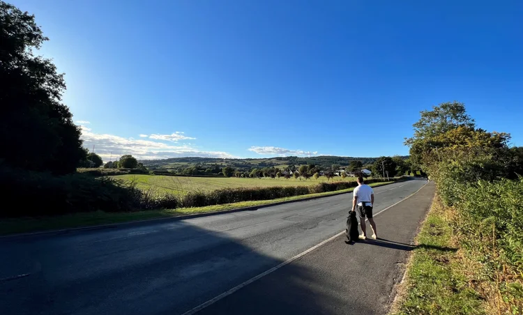 Dog Trainer based in Newport, South Wales - Rich Rees Dog Training