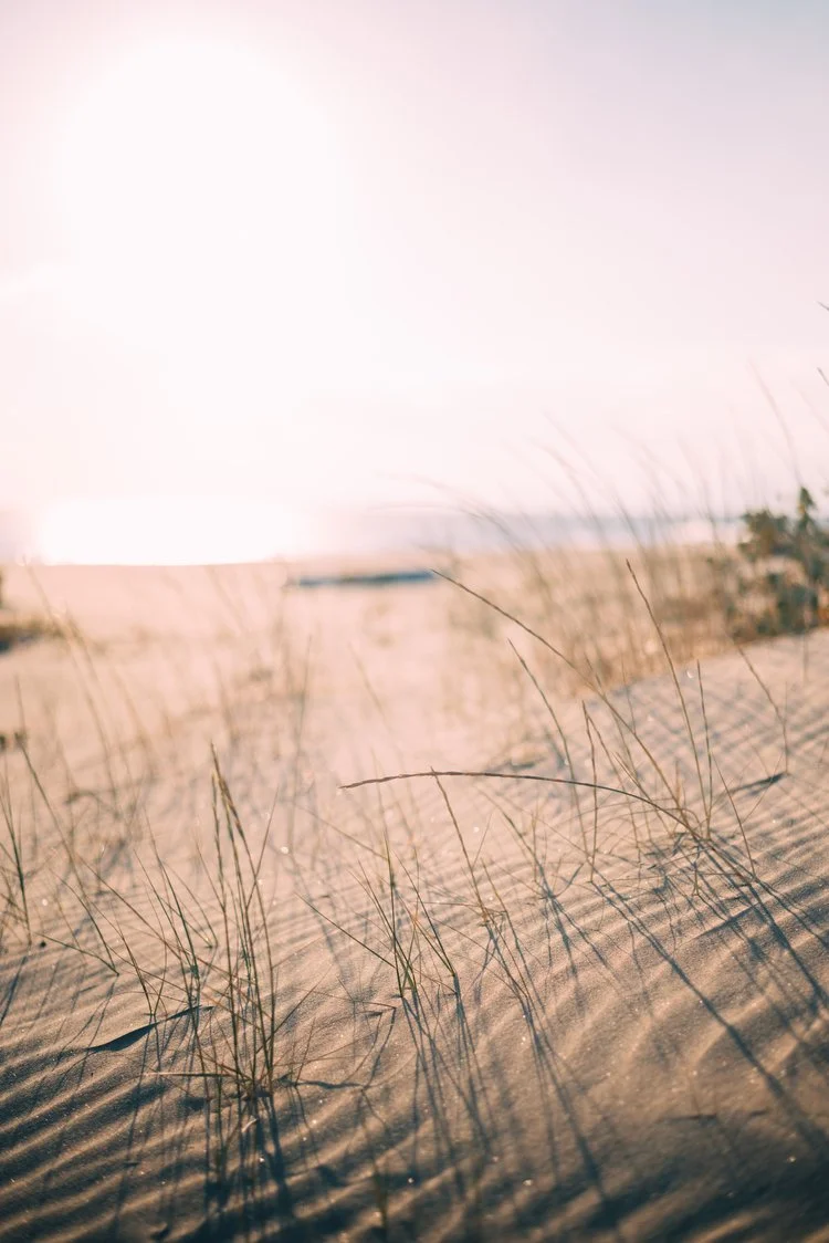 Worth and Wellness Psychology