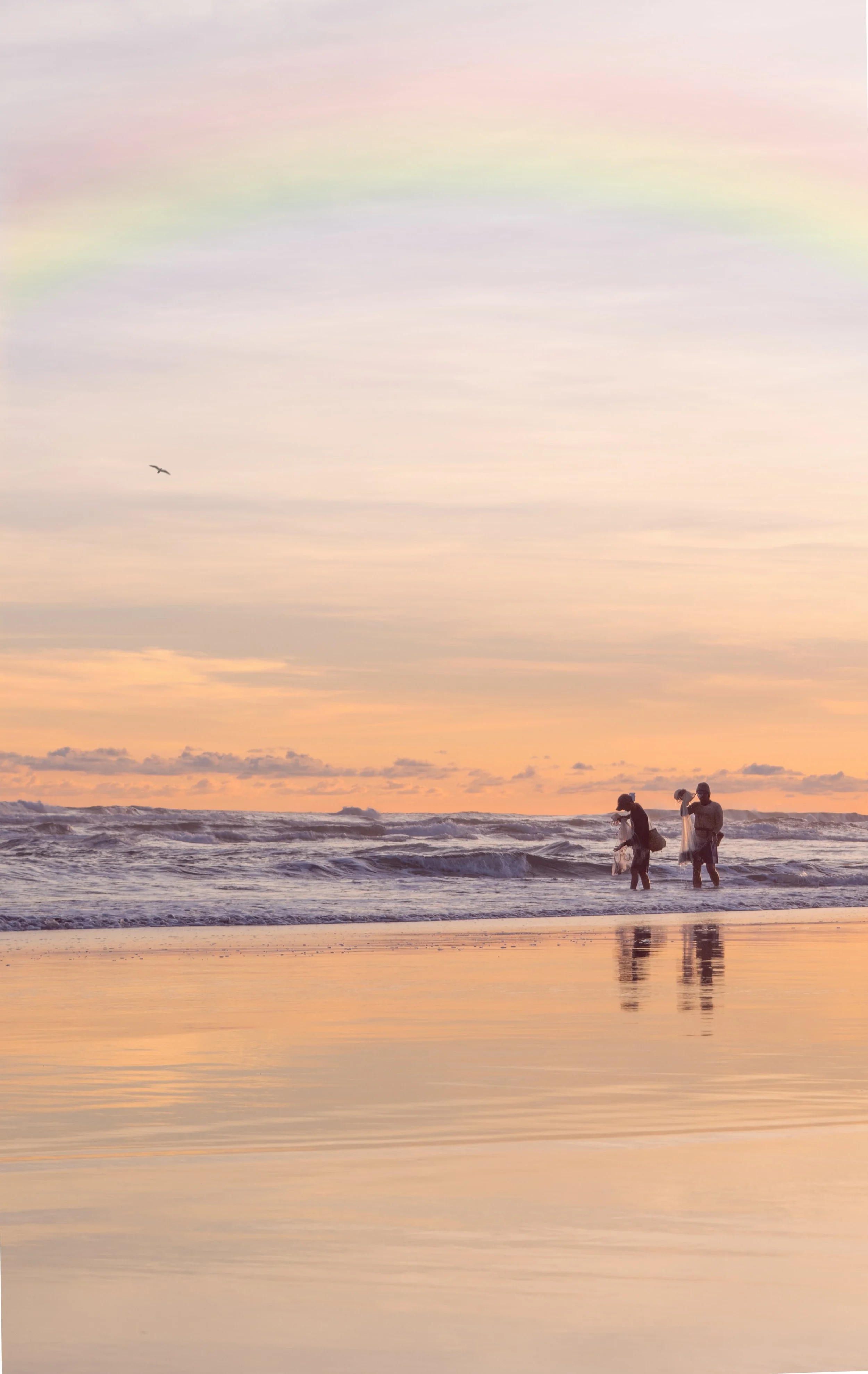 Worth and Wellness Psychology