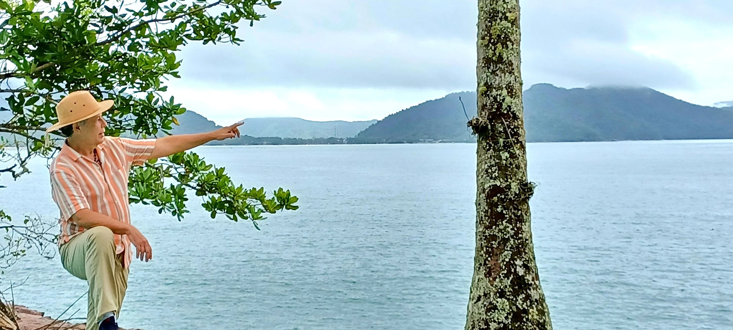 Ubatuba nov 2021.jpg