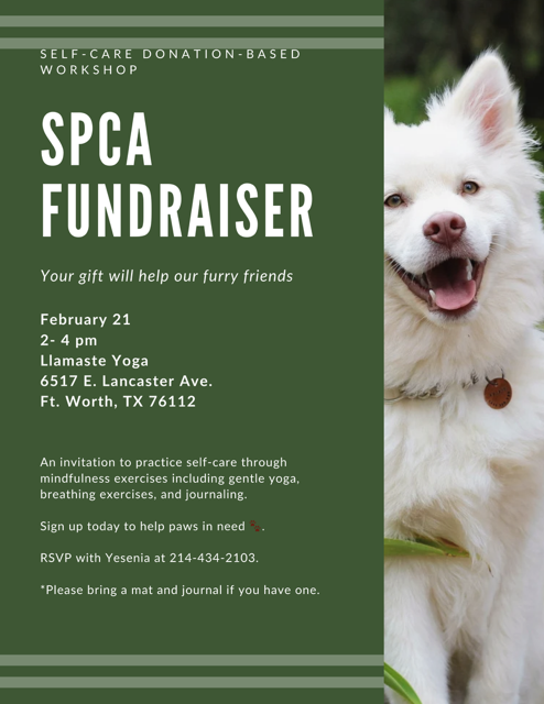 Self Care - SPCA Fundraiser