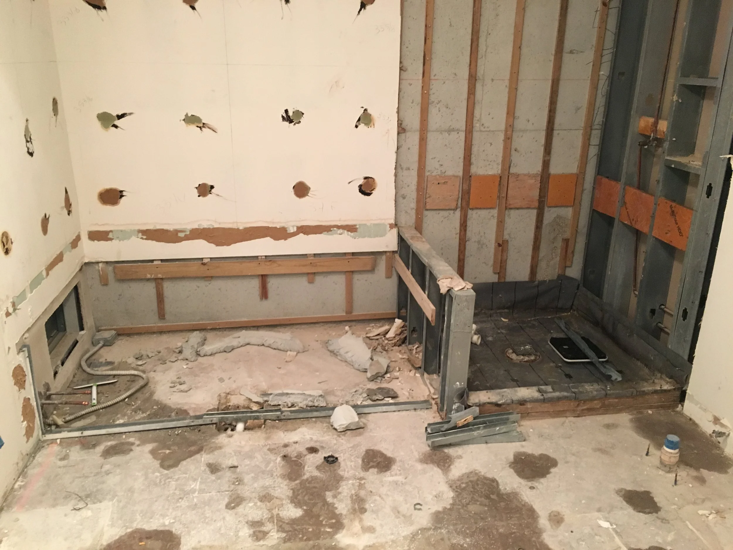 MASTER BATH DEMOLITION-3.JPG