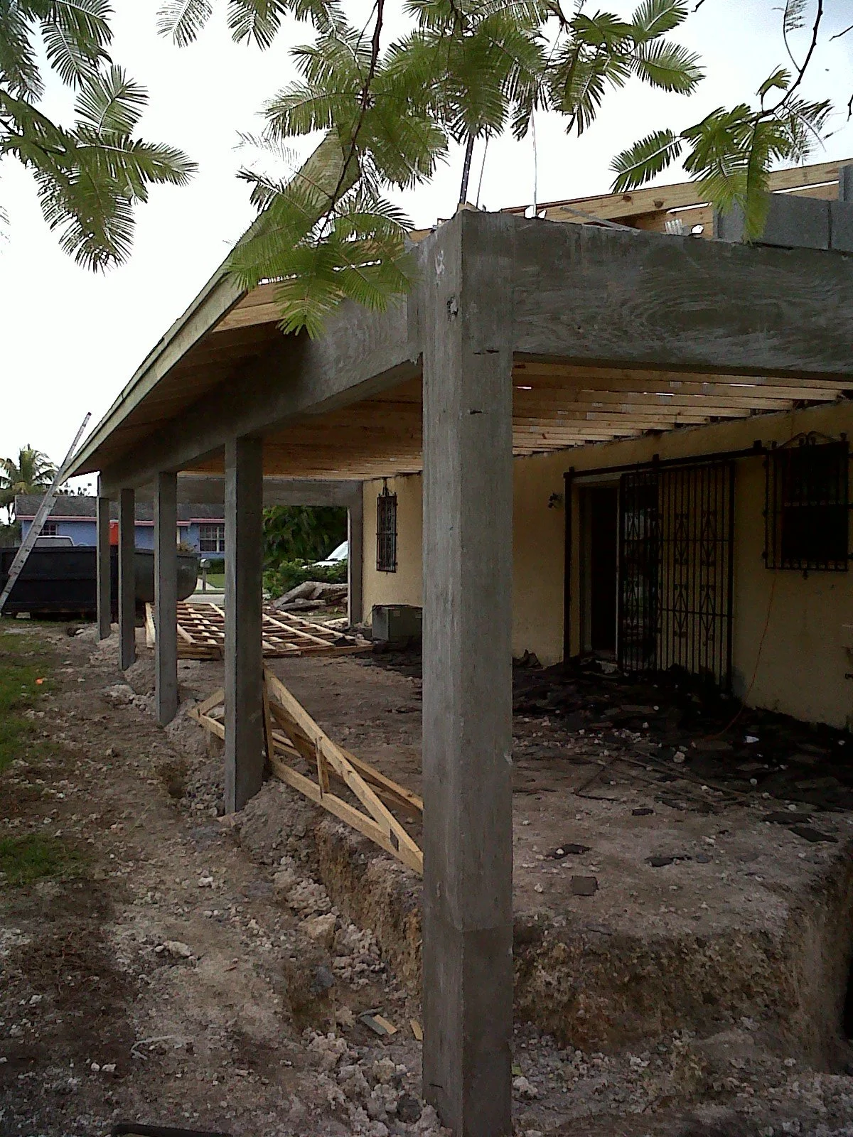 IMG00139-20111114-1229.jpg