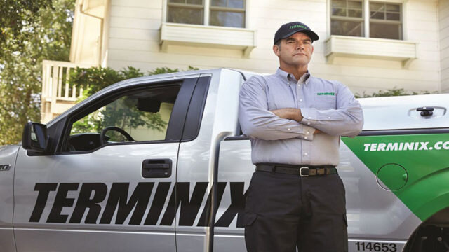 Terminix Taps The Martin Agency And Mediahub As Agencies Of Record