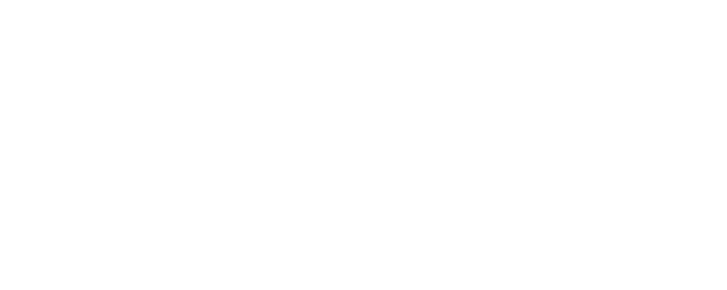 The Martin Agency