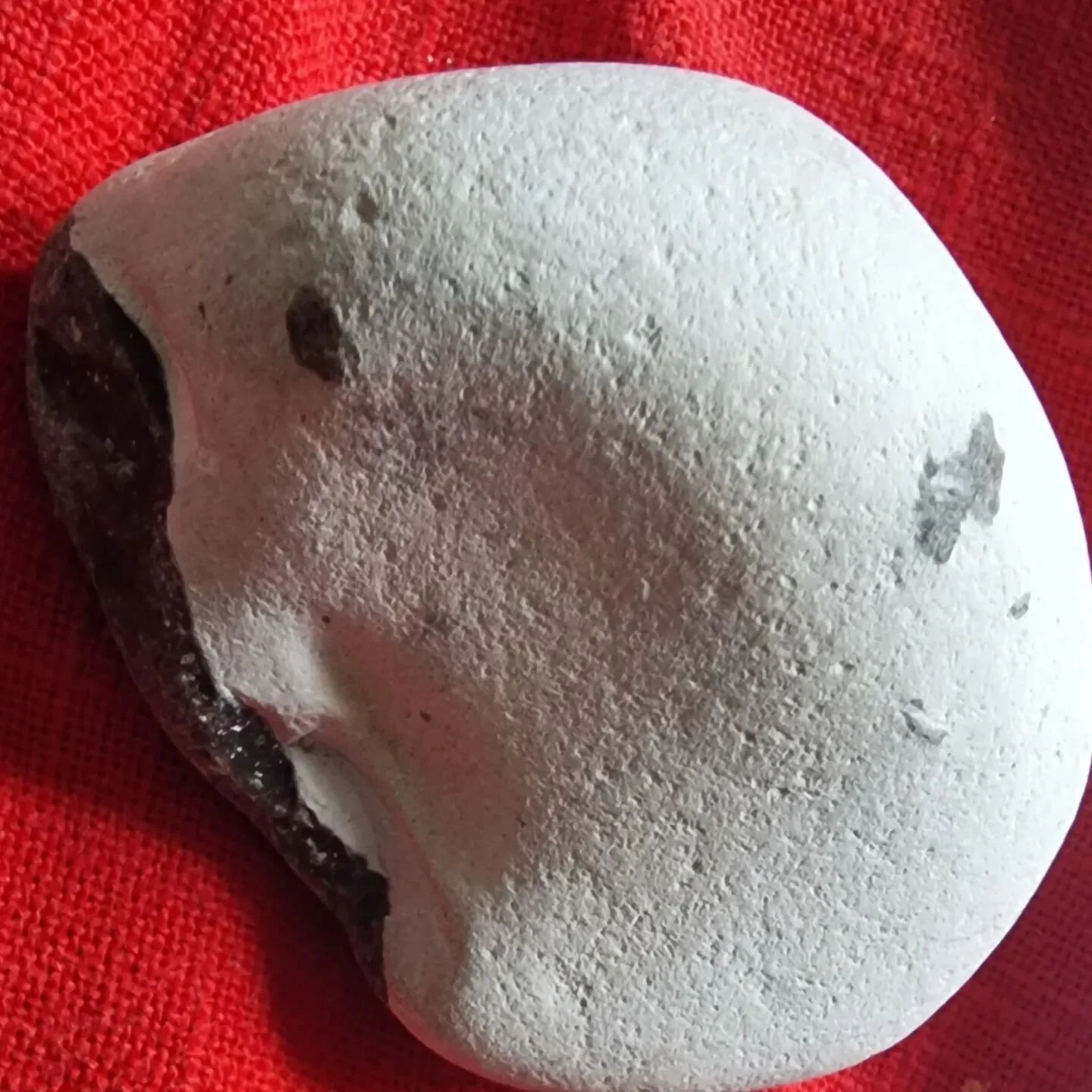 When you get inspired with the nature in textile design.