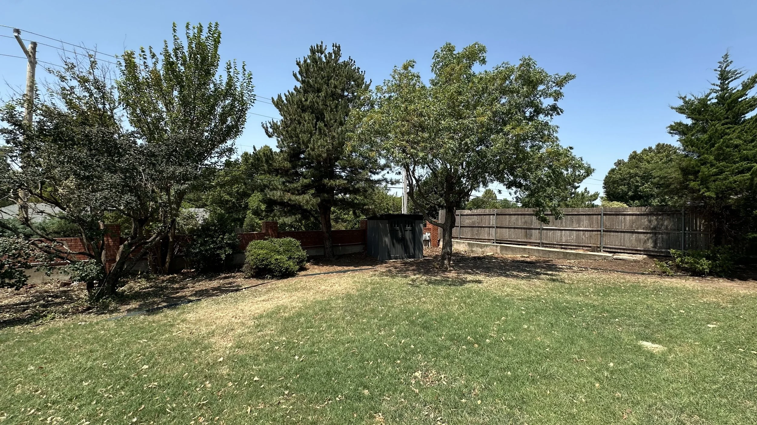 A backyard with green grass, several trees, a wooden fence, a small shrub, a black utility shed, and utility poles with wires against a clear blue sky.