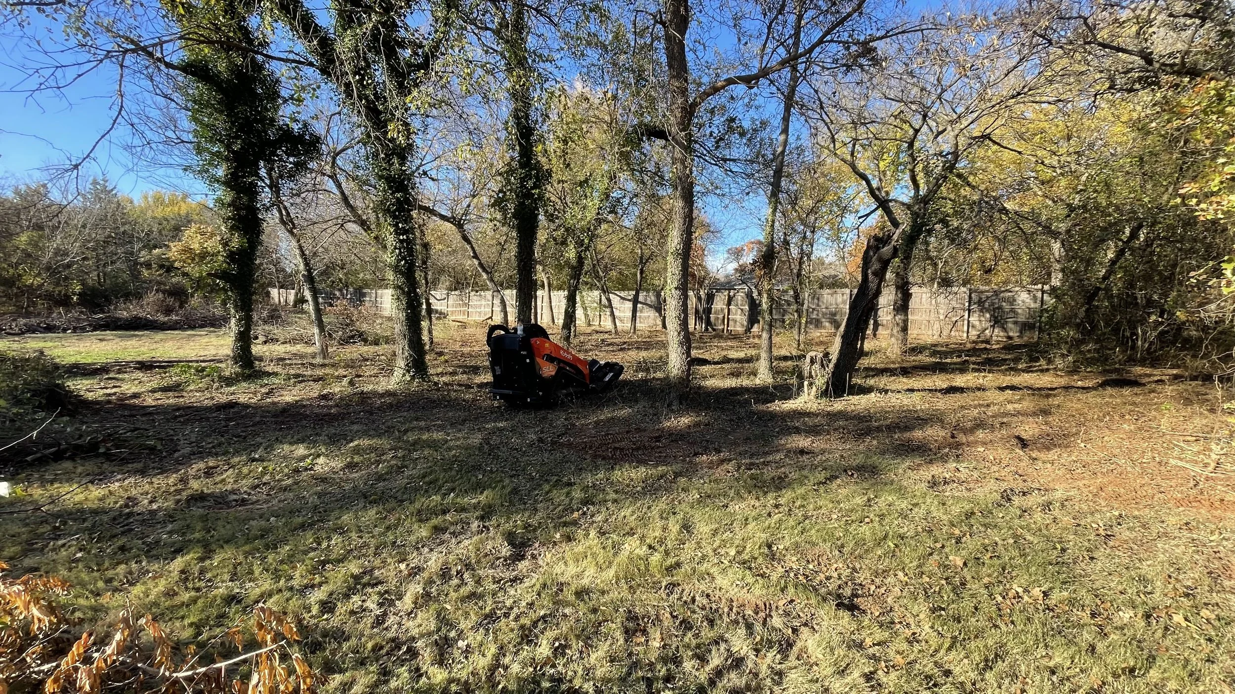 Backyard with trees, some with leaves, some bare, and a wooden fence in the background. A small orange and black equipment is on the ground among the trees, with grass and dirt on the ground.