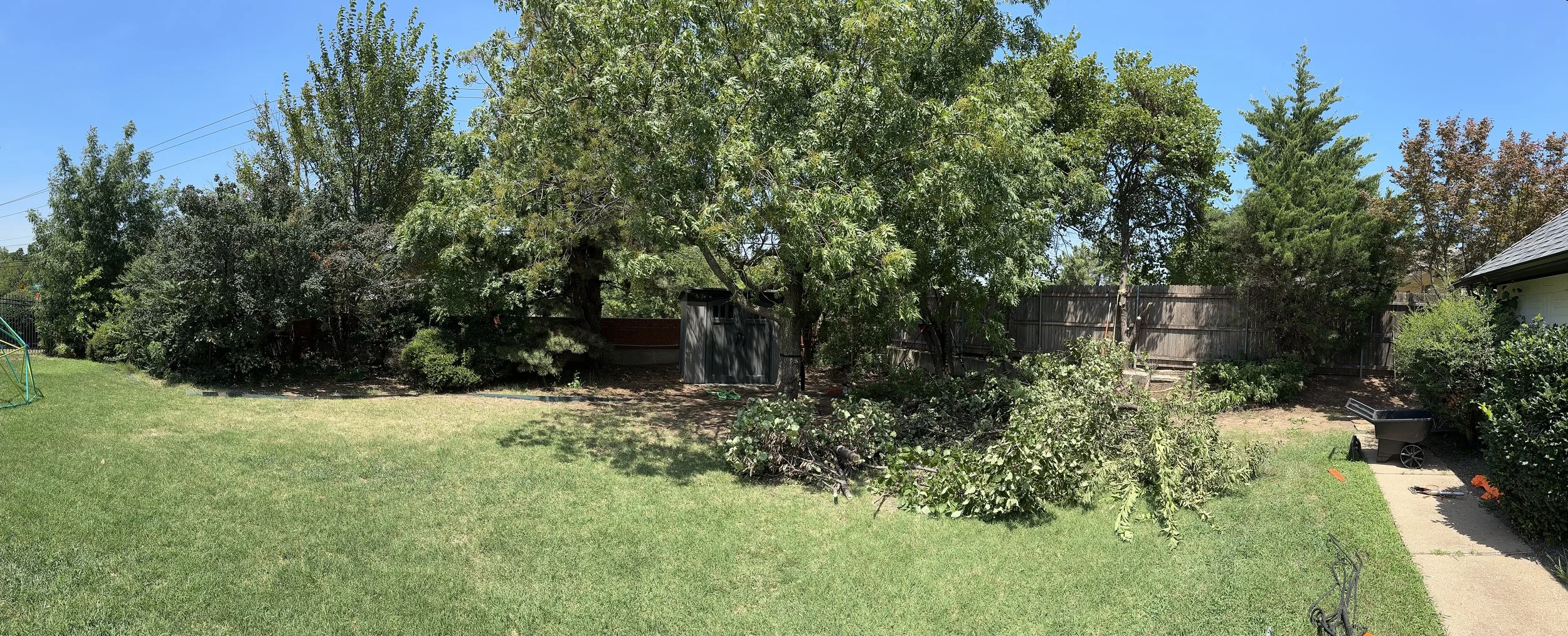Backyard with green grass, pruned trees, mulched landscaping with a brick fence, under a clear blue sky.