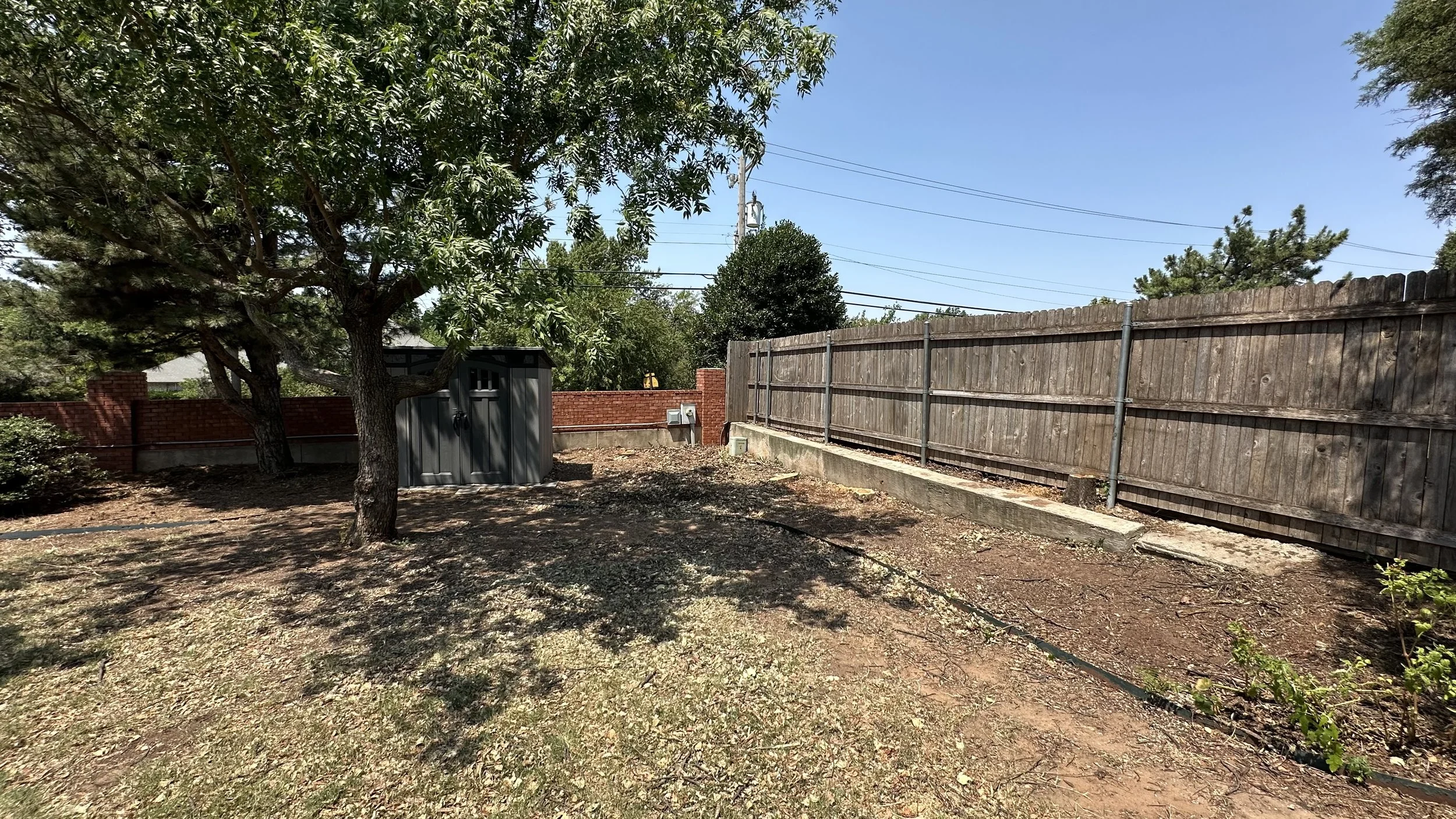 A backyard with a tall tree, a wooden fence, a brick wall, and utility boxes. The ground has patches of dirt and sparse grass.