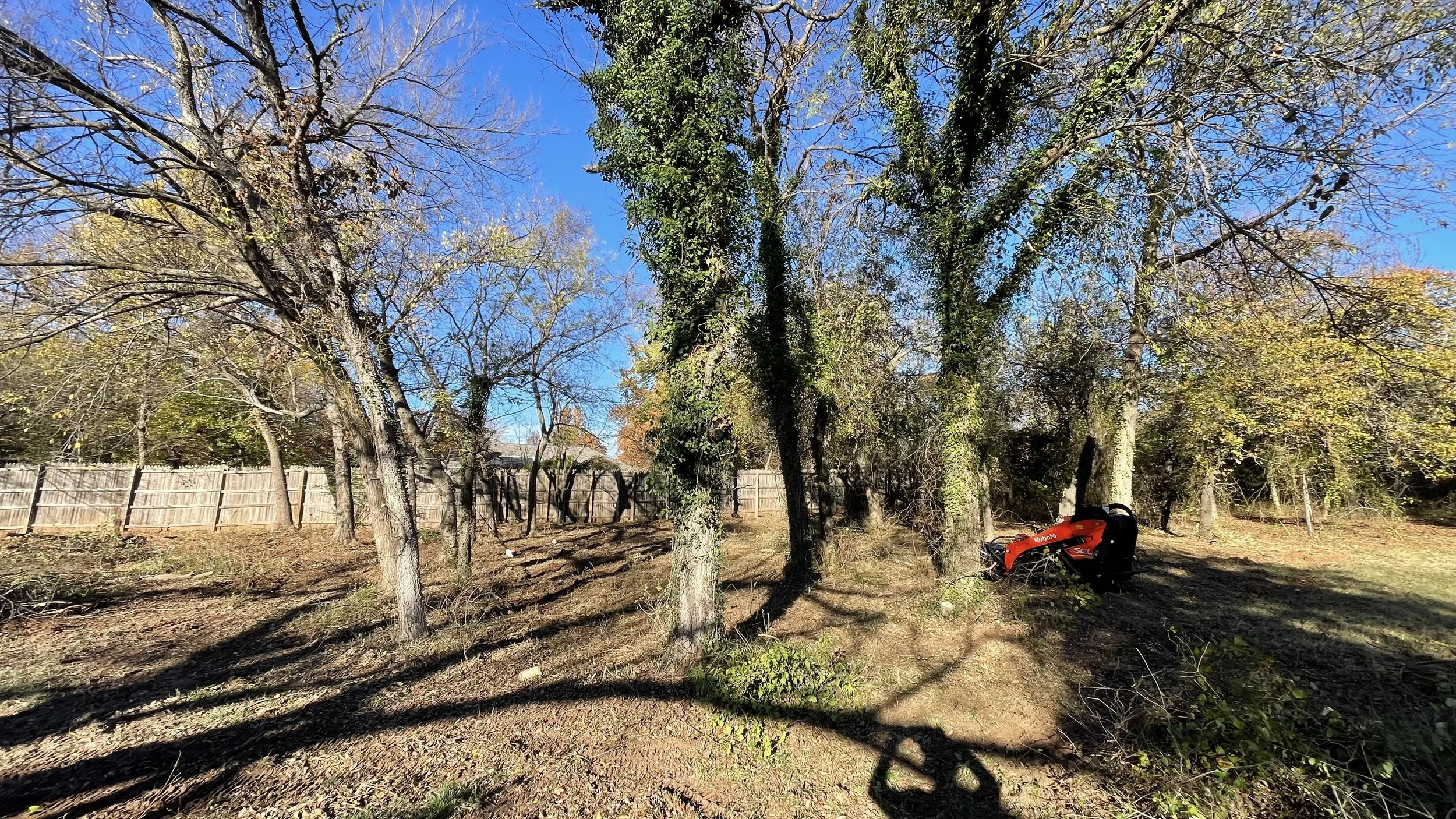 A backyard scene with tall trees, some with bare branches and others with green leaves, and a wooden fence in the background. The ground is covered with dirt and fallen leaves, and there is a red and black lawnmower parked on the grass.