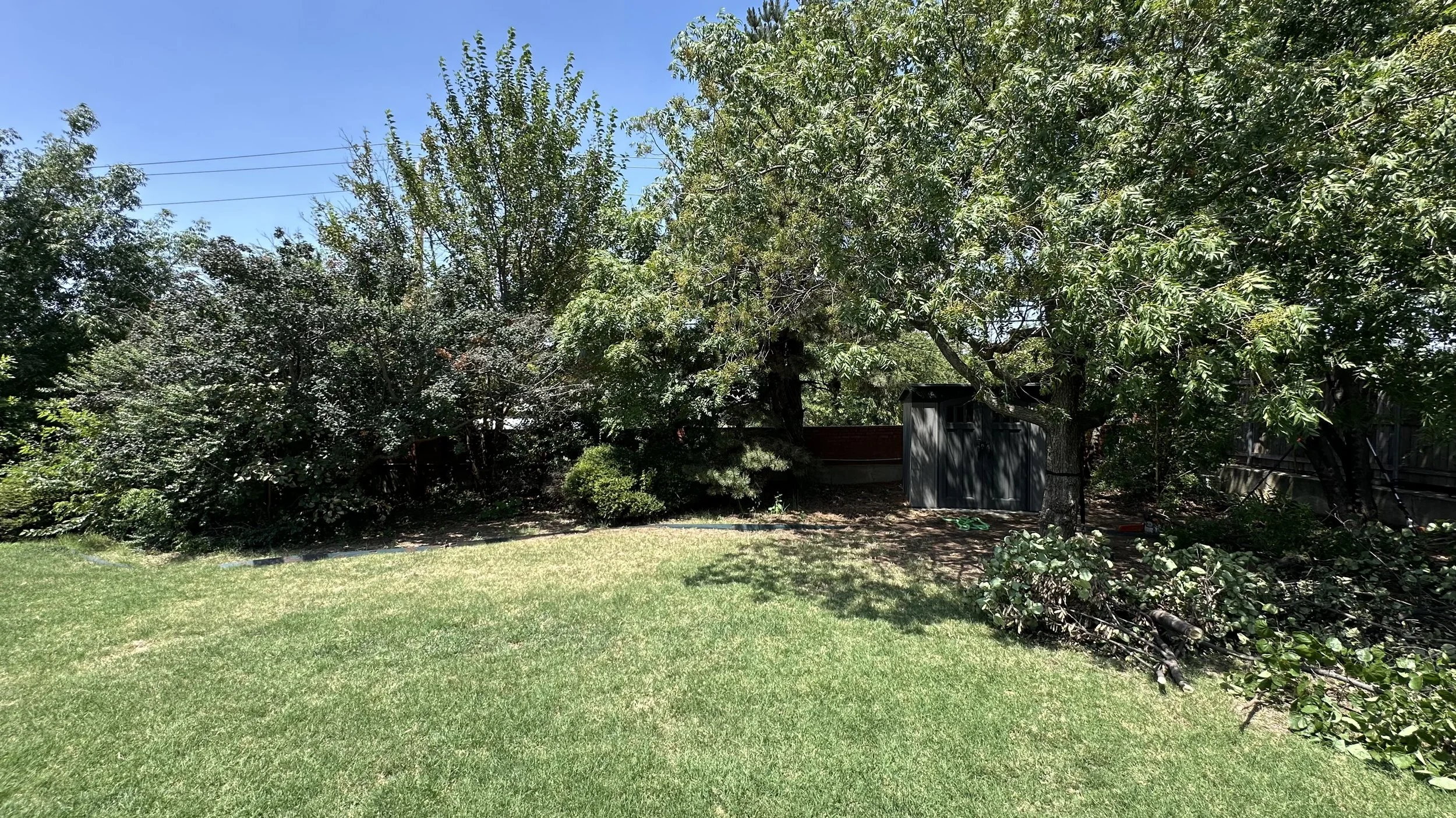 Backyard with lush green trees and plants, a shed, and a well-maintained grass lawn under a clear blue sky.