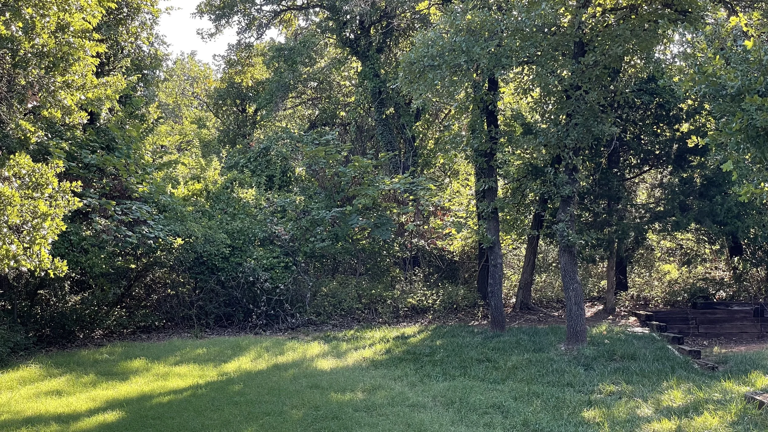 A backyard with lush green grass, trees, and a small stone or brick wall on the right side, partially shaded by sunlight.
