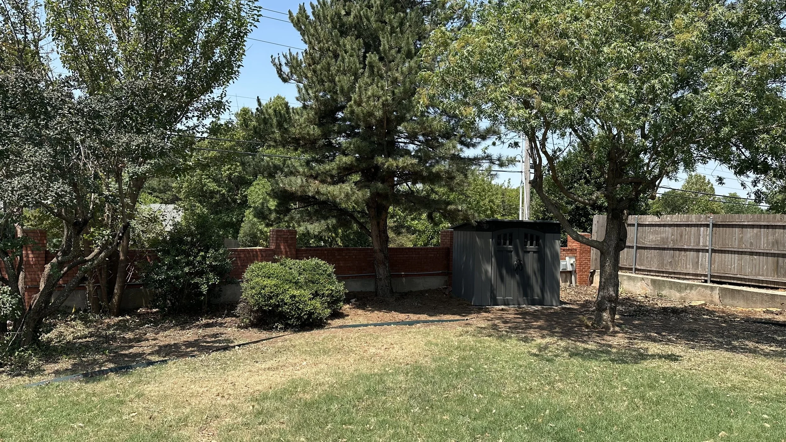 Backyard with trees, a brick wall, a gray shed, and a fenced perimeter under a clear sky.