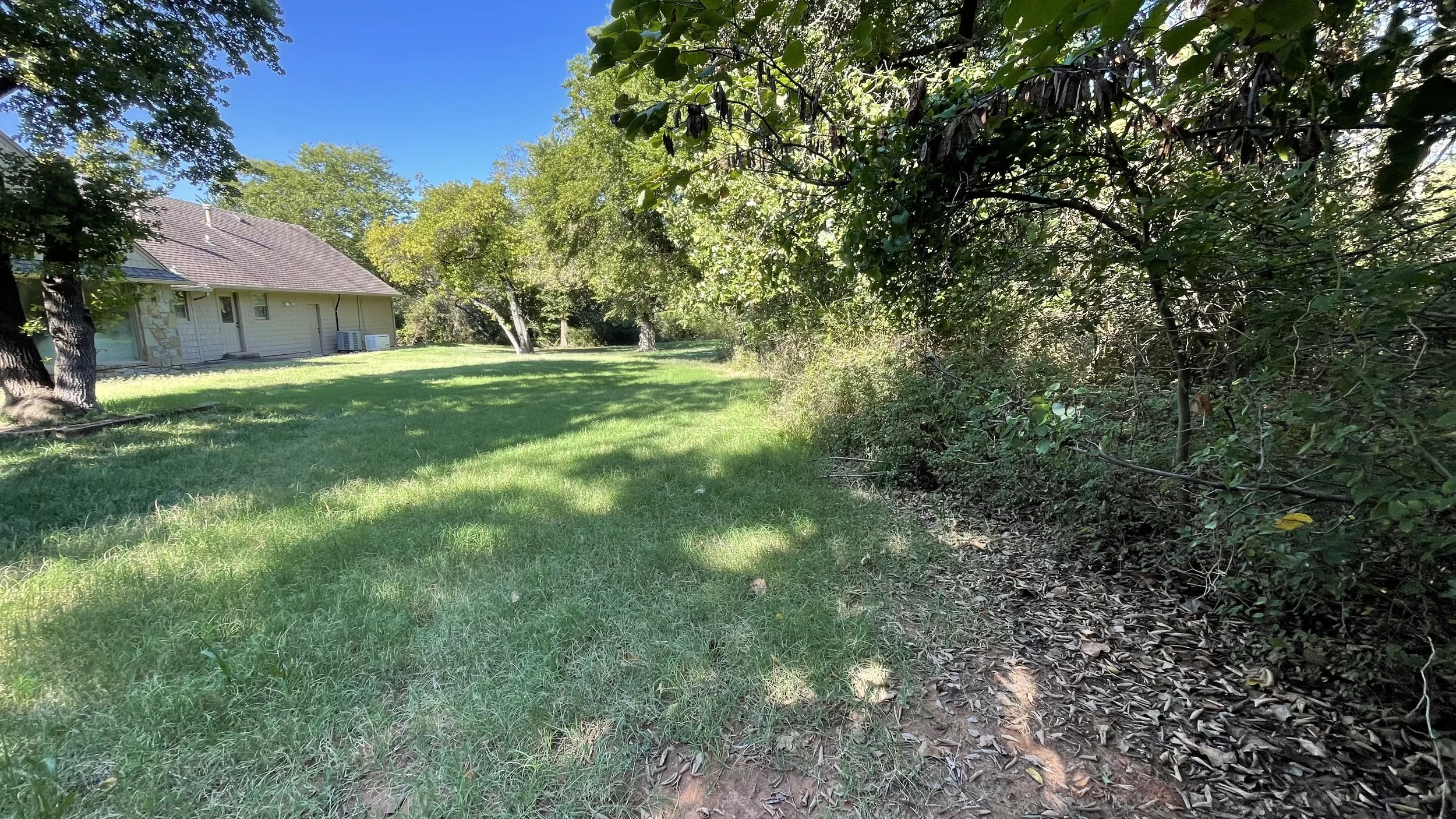 A backyard scene with green grass, trees, and bushes, and a house in the background under a clear blue sky.