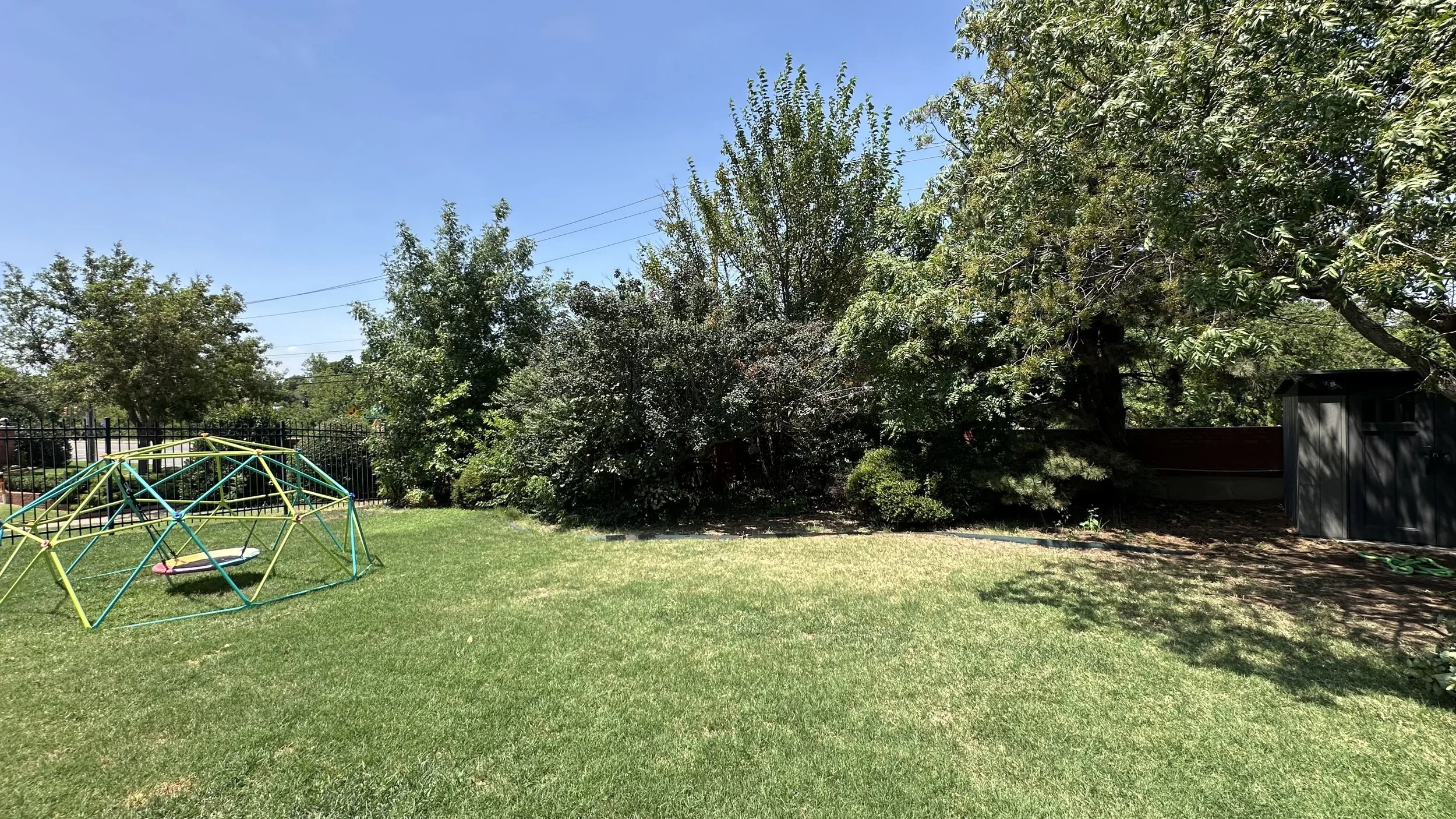 A backyard with green grass, a playground structure on the left, a variety of trees, plants and cleared undergrowth. A small shed on the right, and a black fence along the back with no overgrowth. The sky is clear and blue.