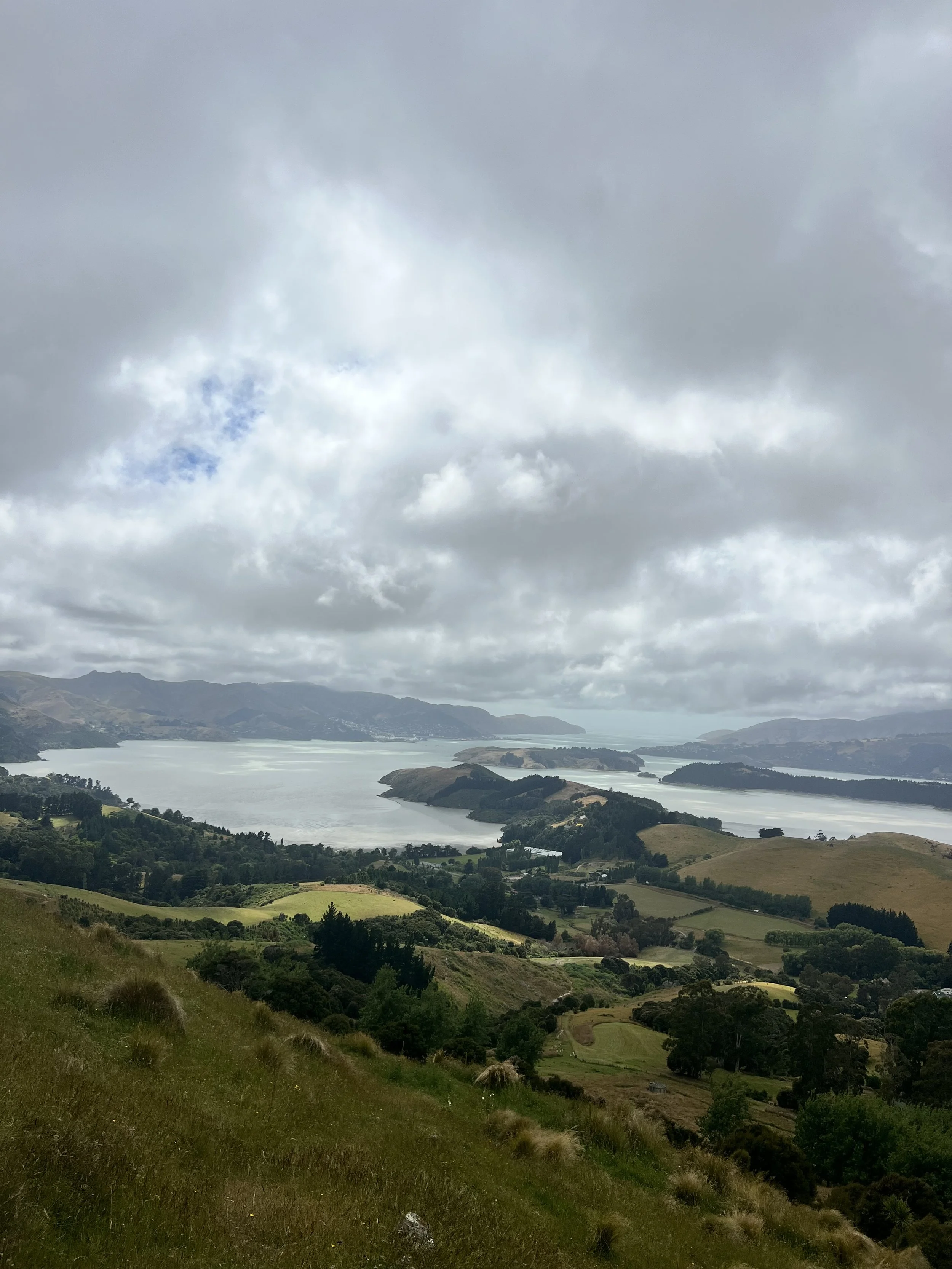 IMG_3280.jpeg