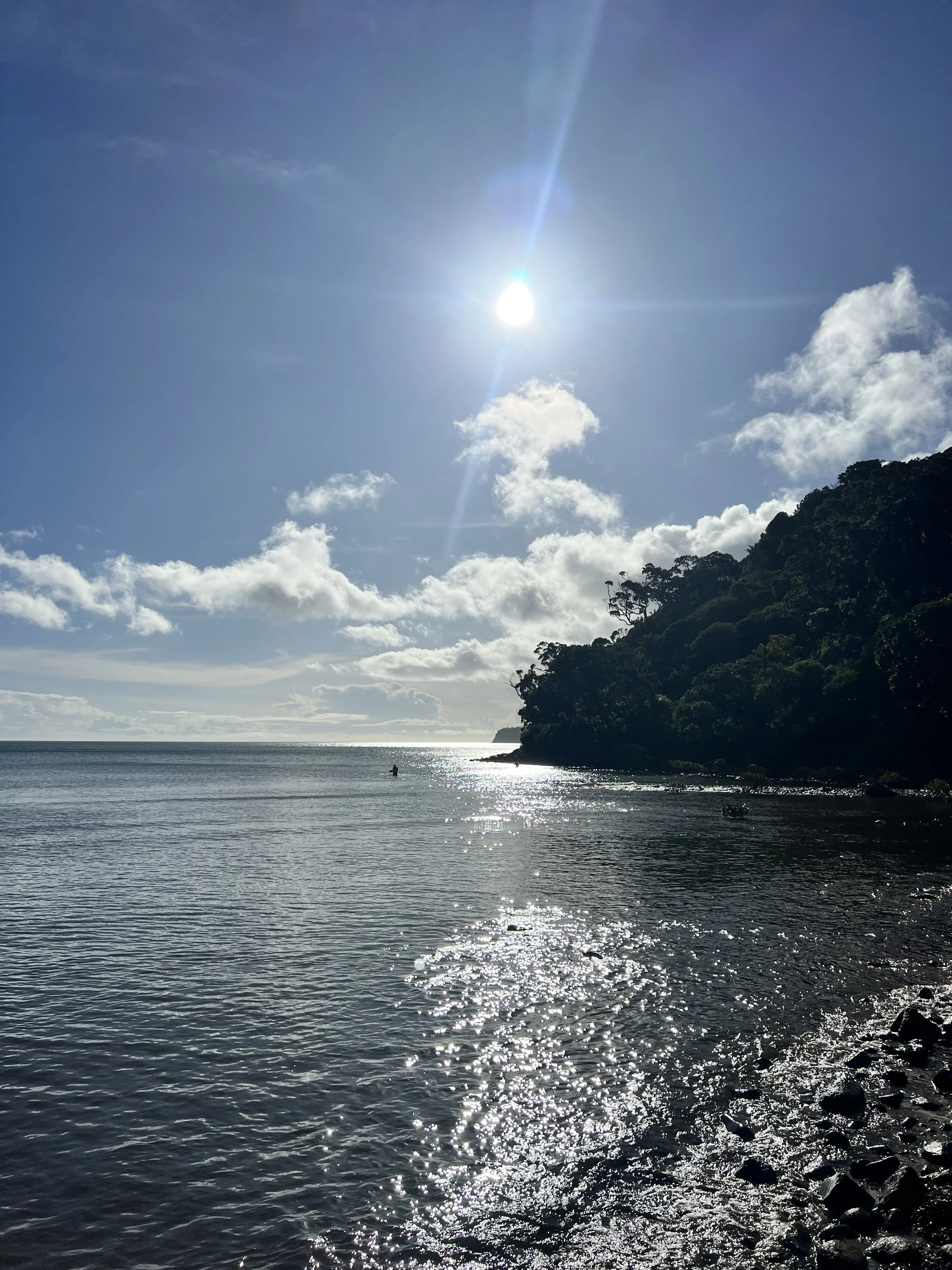 IMG_4031.jpeg