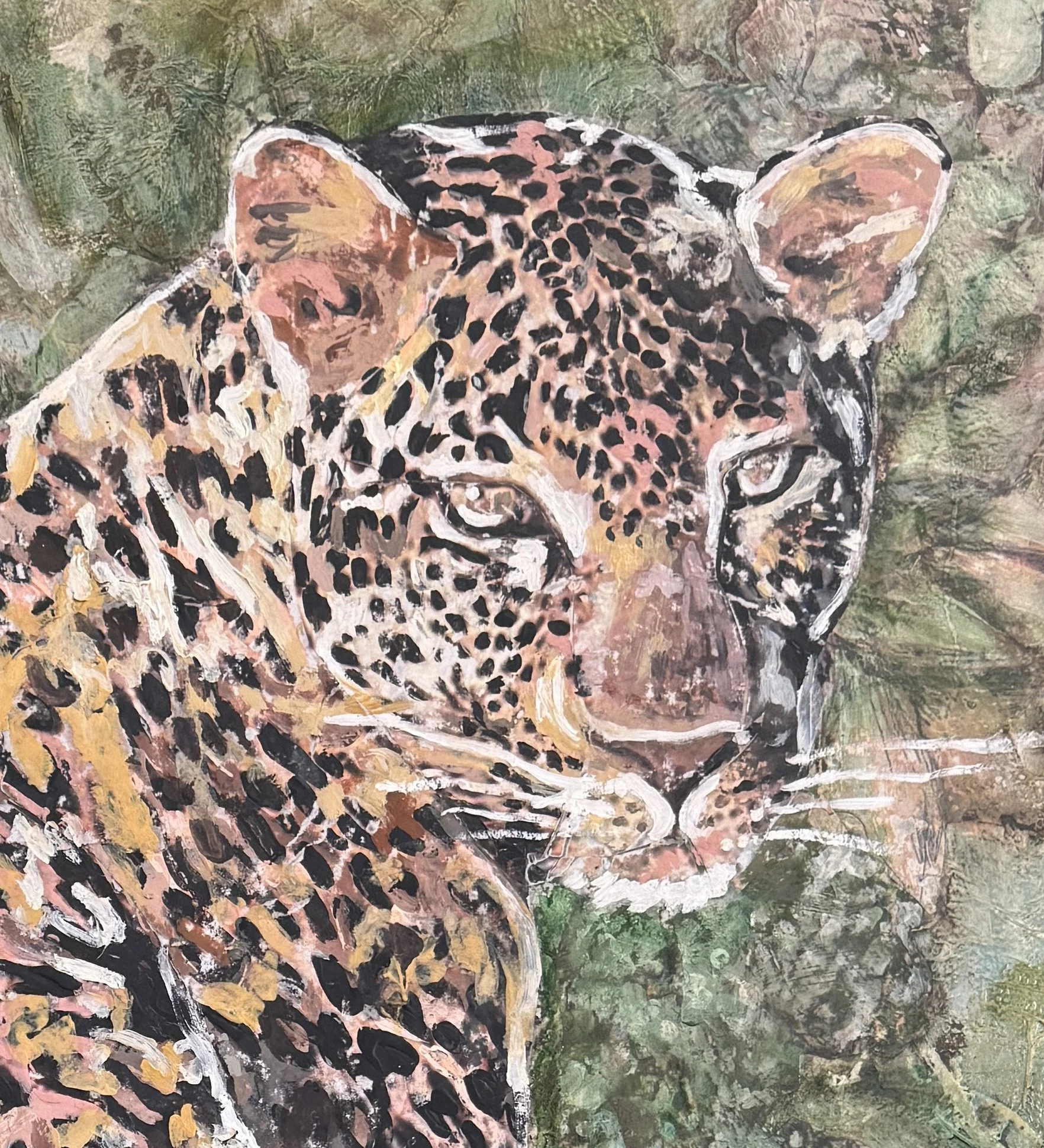 Leopard in the Rough close up.jpg