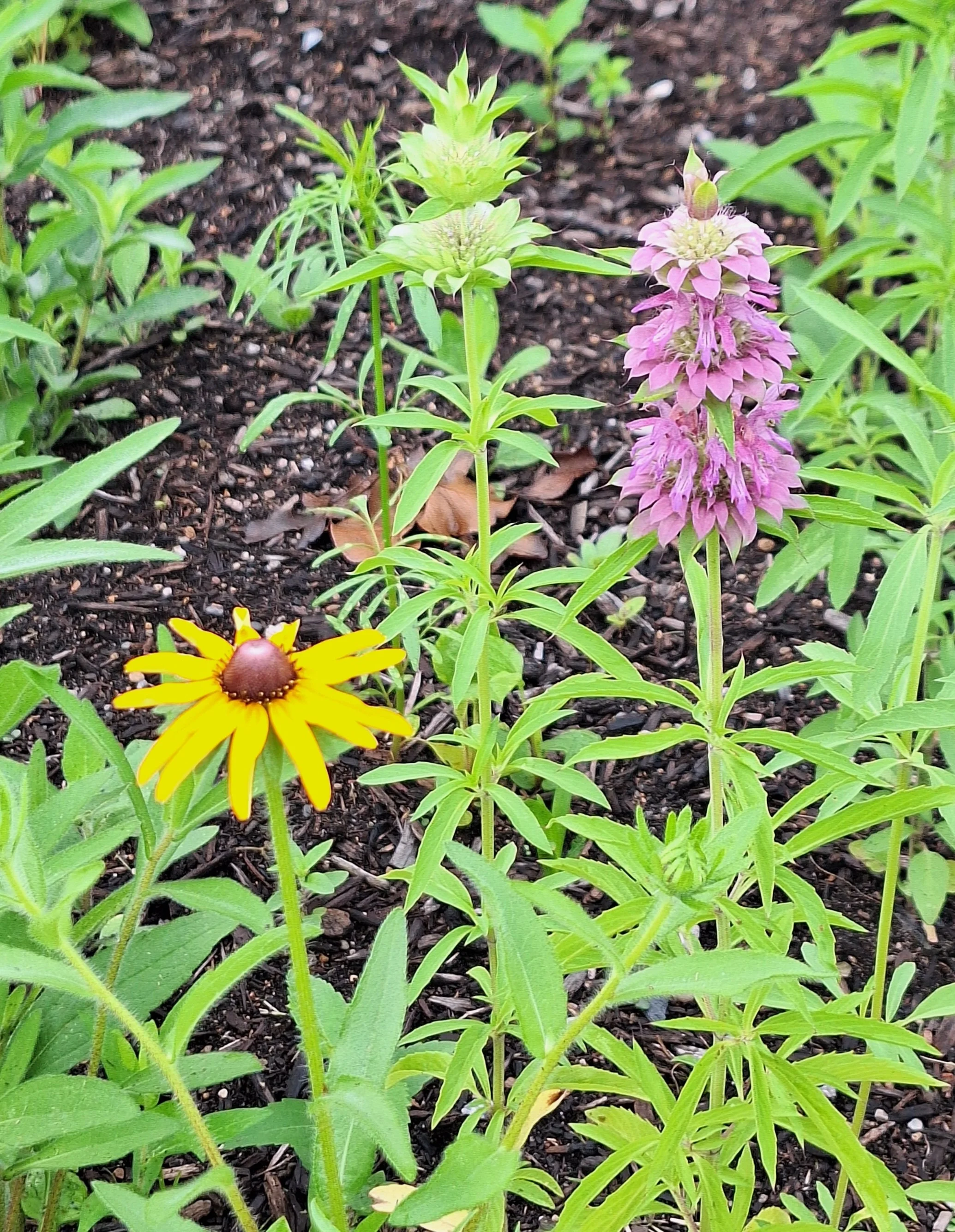 20260530_091003.jpg