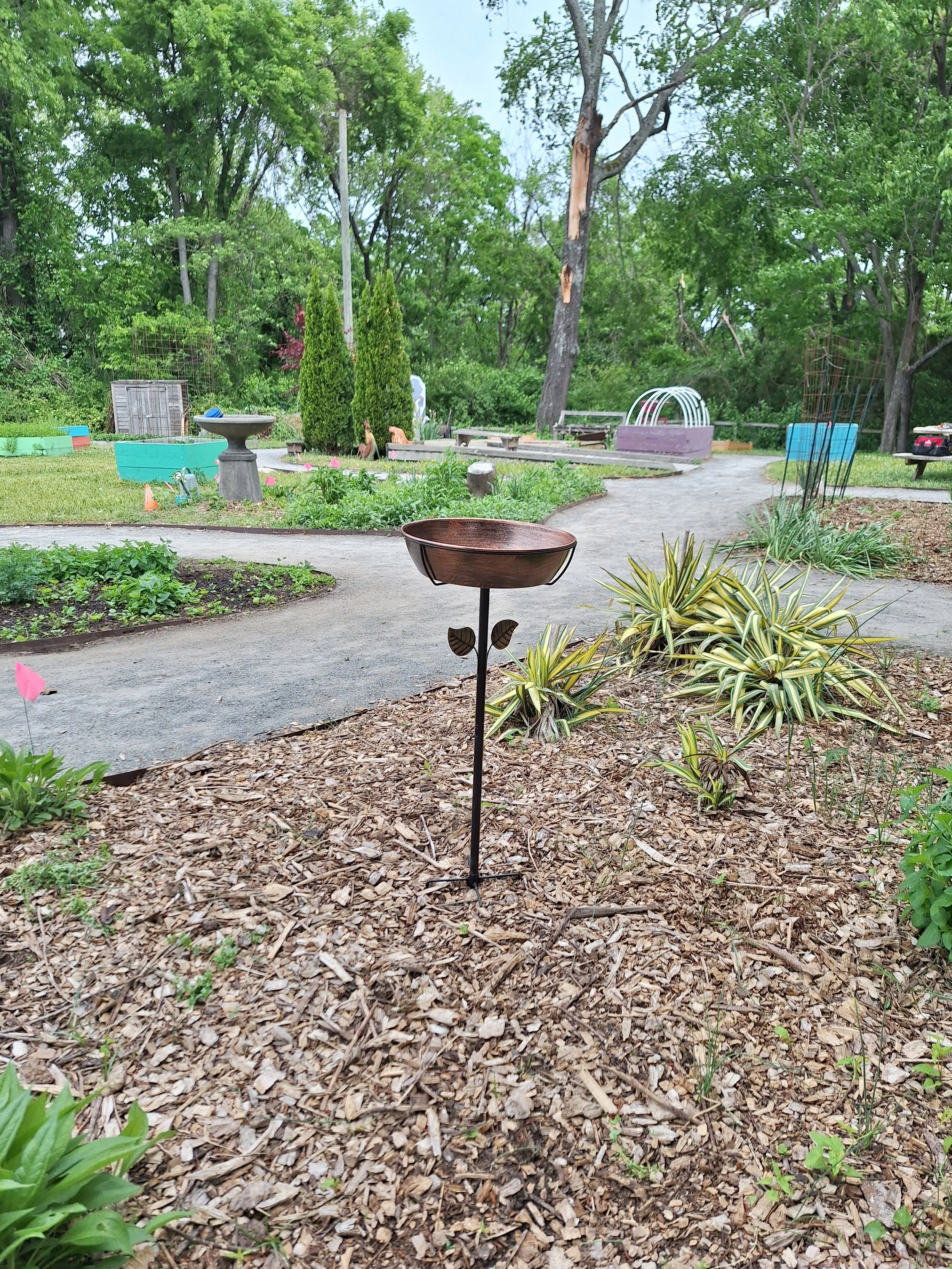 20260424_110132.jpg