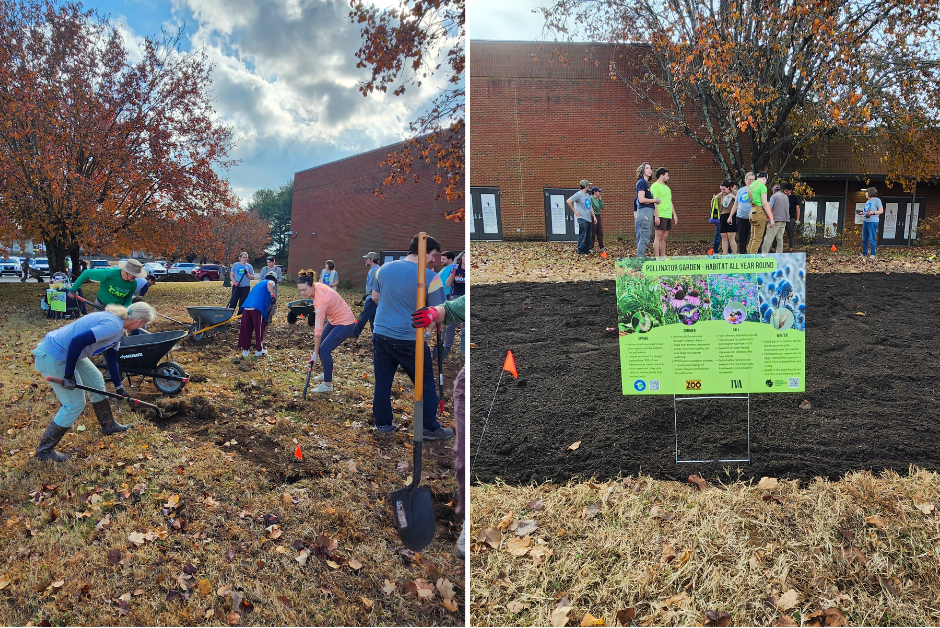 Before and After.png