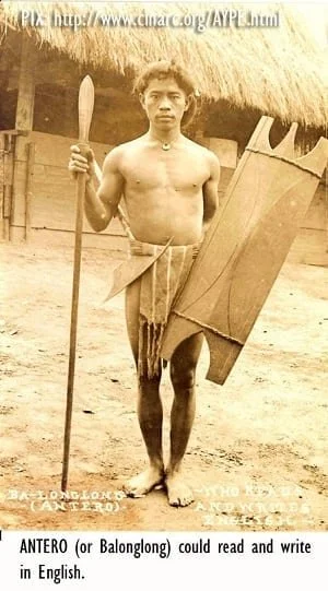3 Antero-as-an-adult.jpg