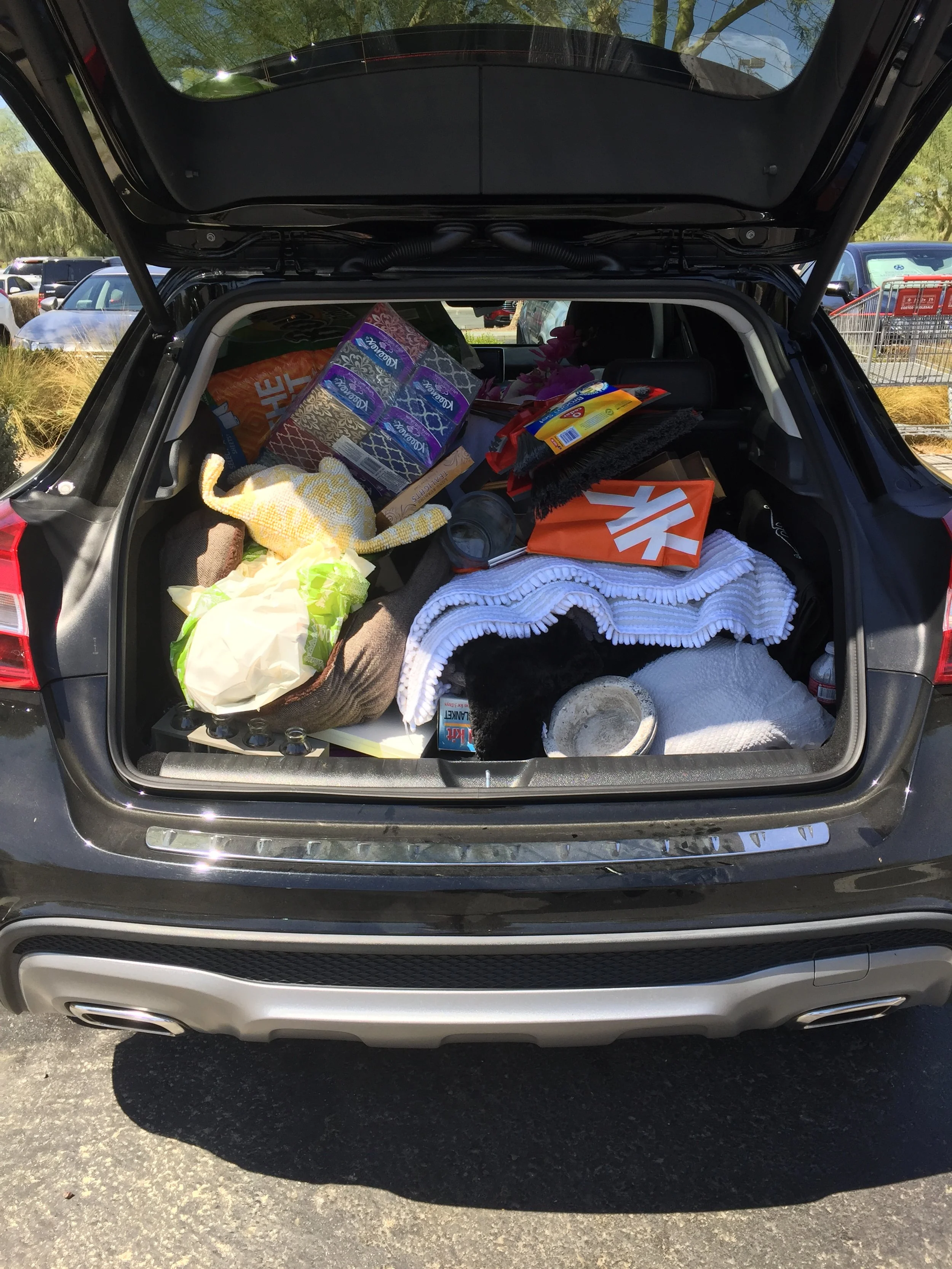 Madison Club Interior Design Behind the Scene BTS7526.JPG