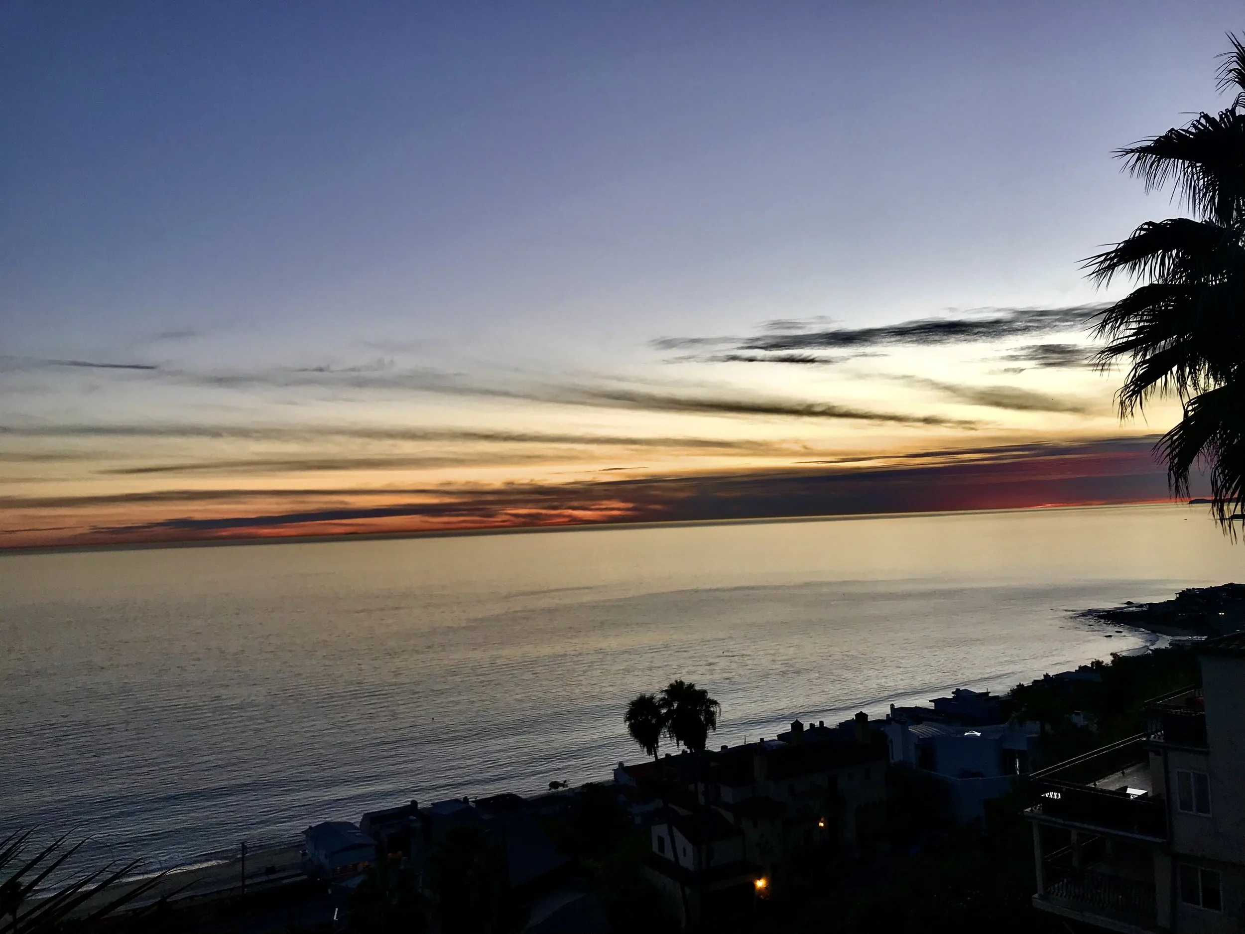 Malibu Rambla Landscape by Tracy Murdock Interior Design Behind the Scenes5235.jpeg