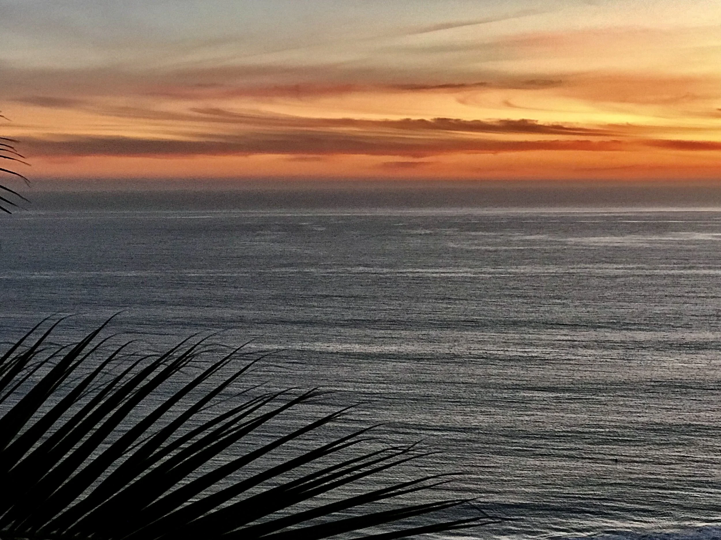 Malibu Rambla Landscape by Tracy Murdock Interior Design Behind the Scenes5774.jpeg