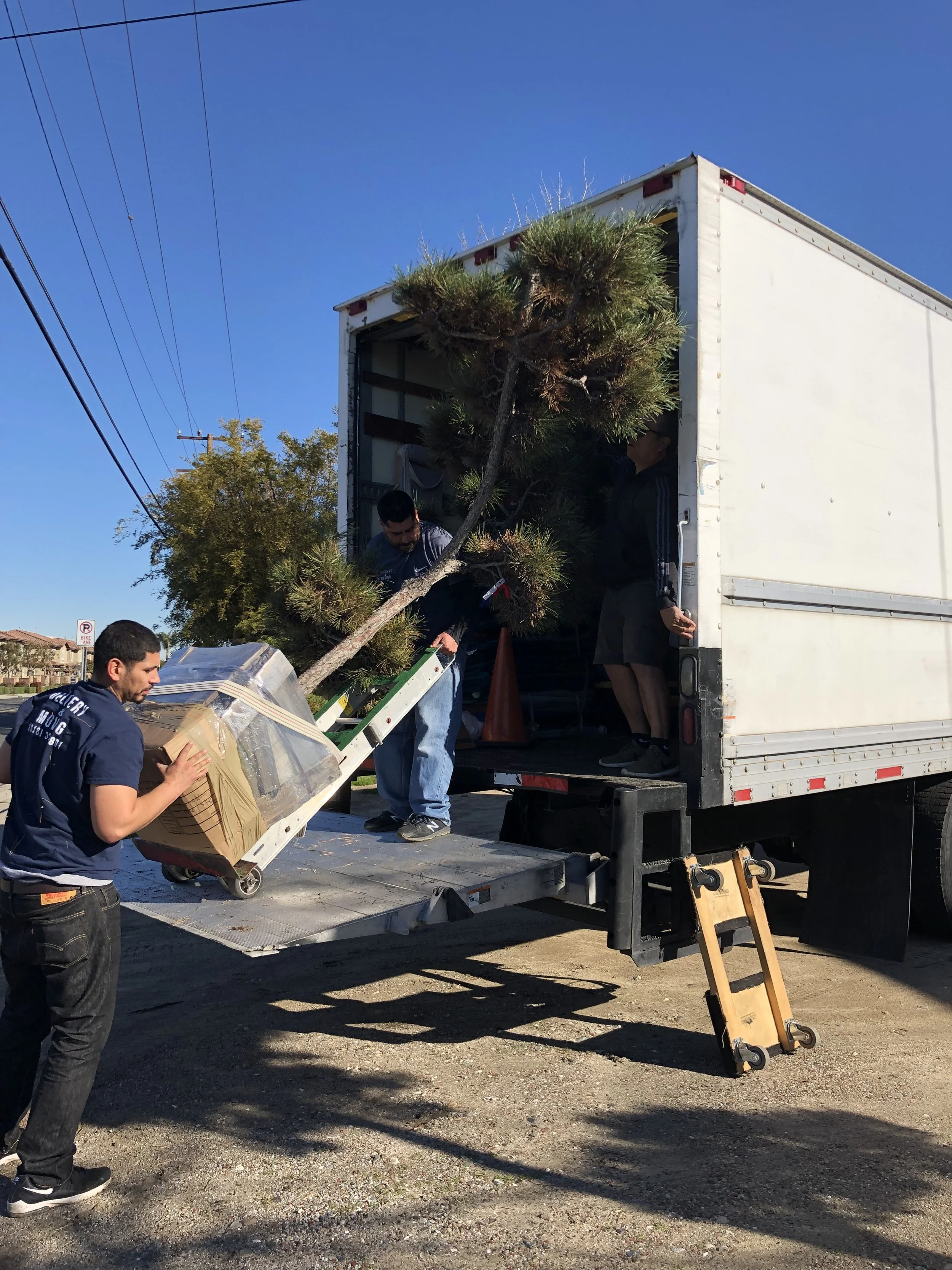 Bell Canyon Landscape by Tracy Murdock Interior Design Behind the Scenes3708.jpeg