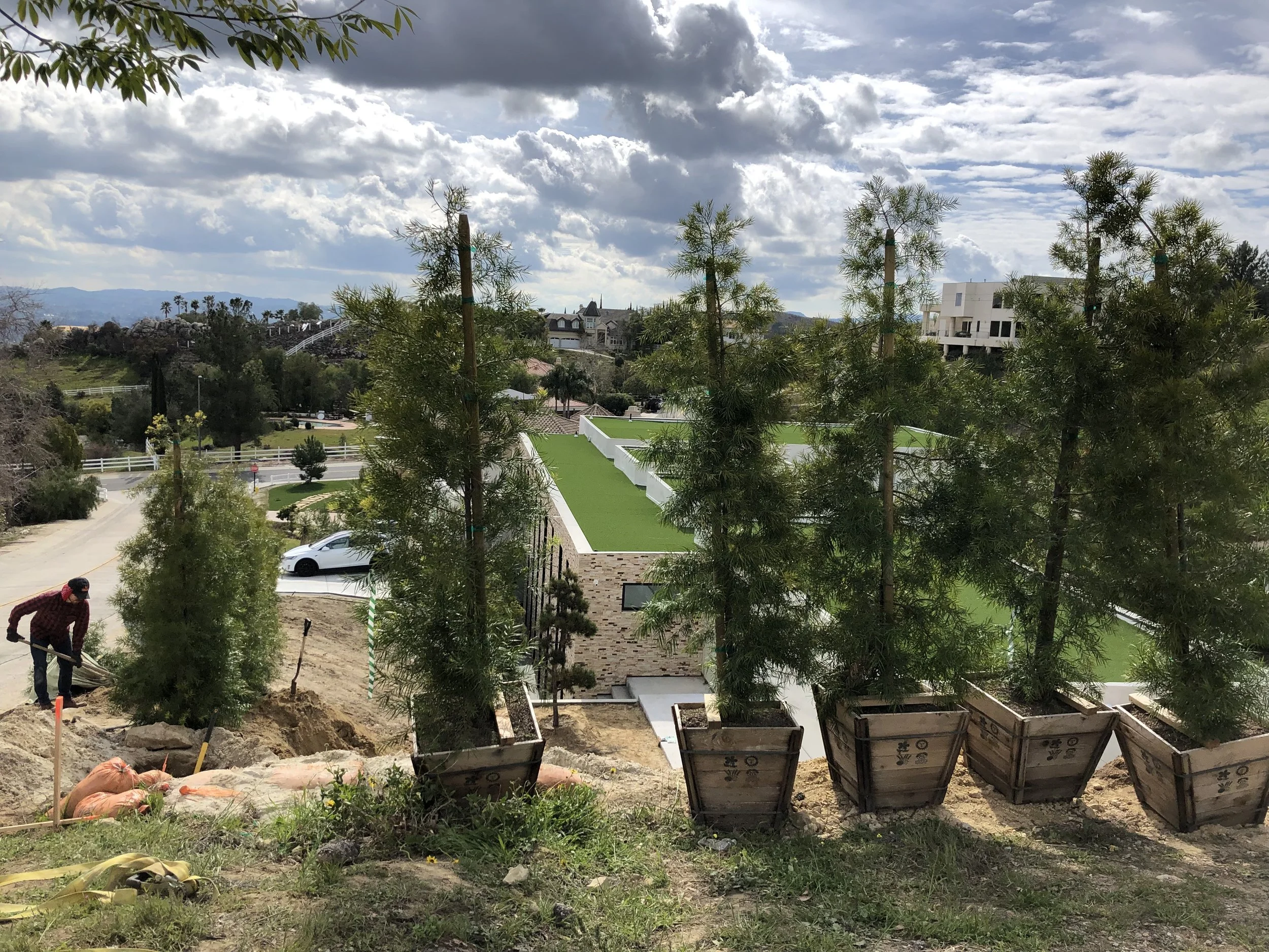 Bell Canyon Landscape by Tracy Murdock Interior Design Behind the Scenes3766.jpeg