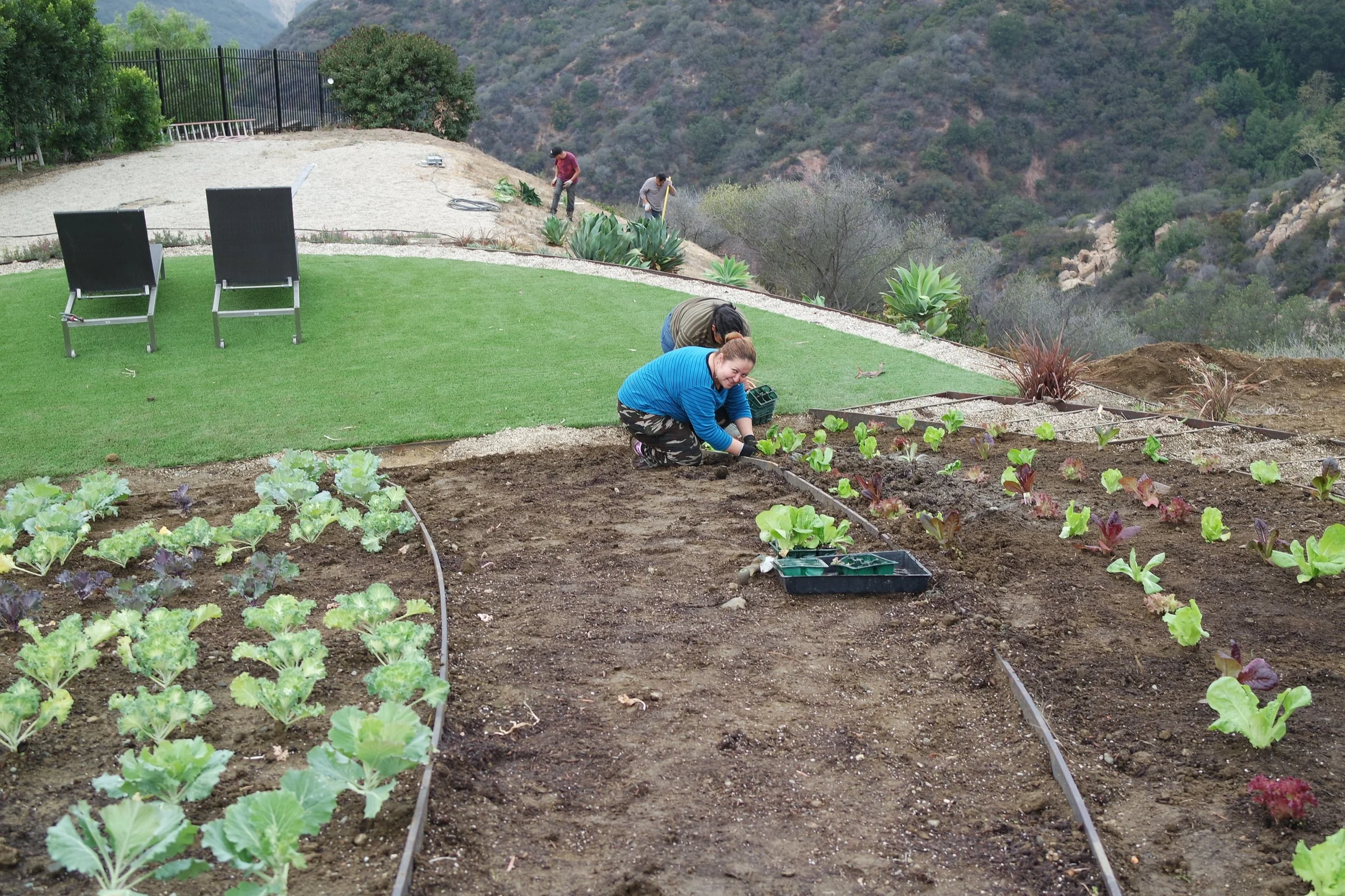 Geometric Gardens Landscape by Tracy Murdock Interior Design Behind the Scenes2032.JPG