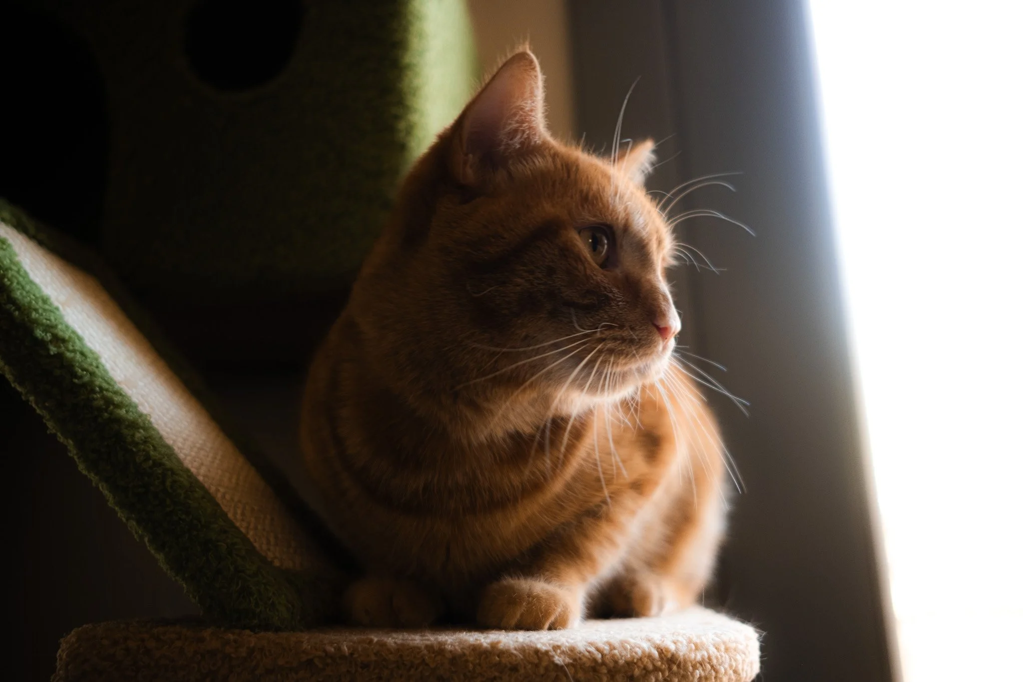 DSCF4896.jpg