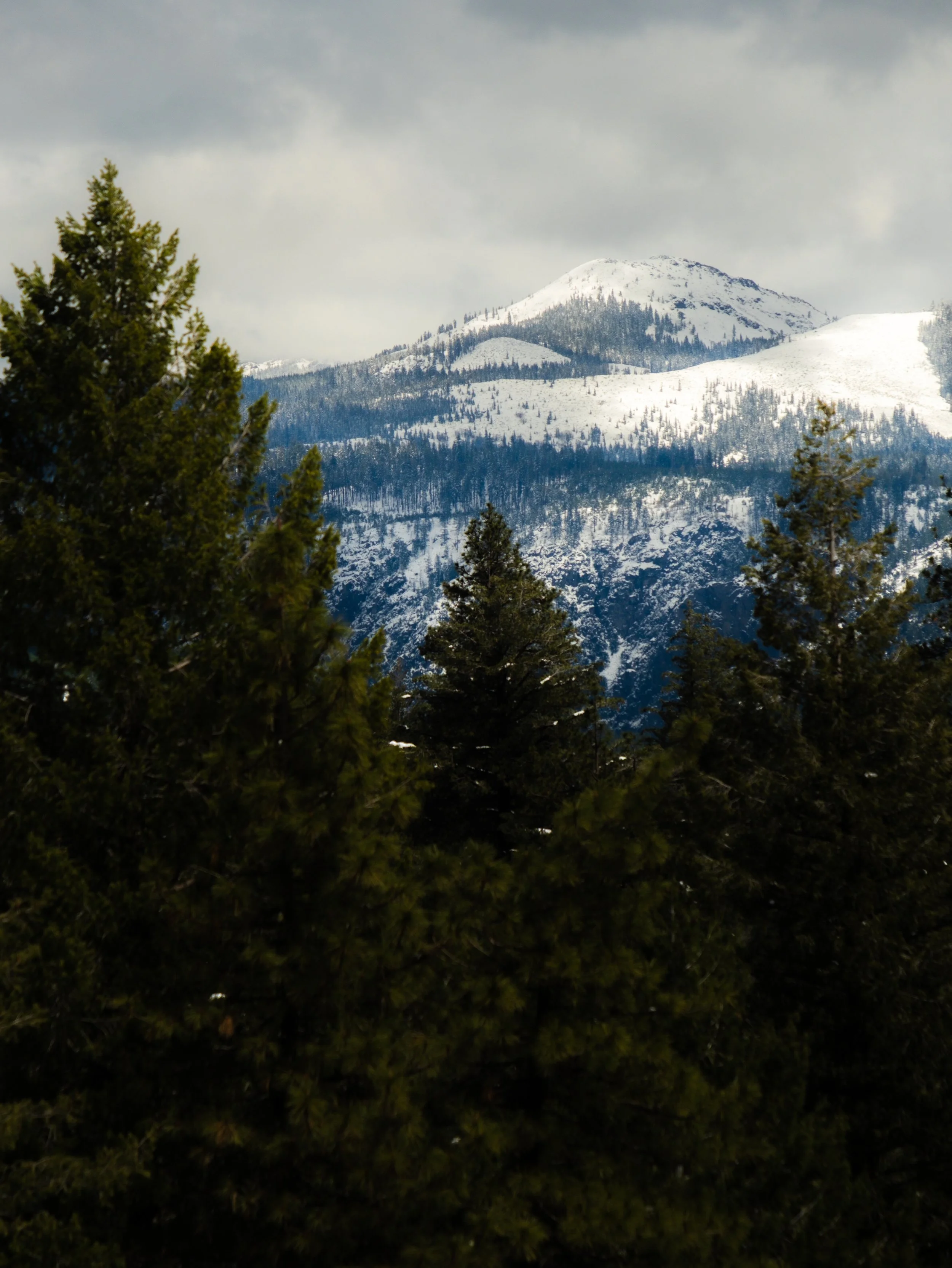 DSCF1496.jpg