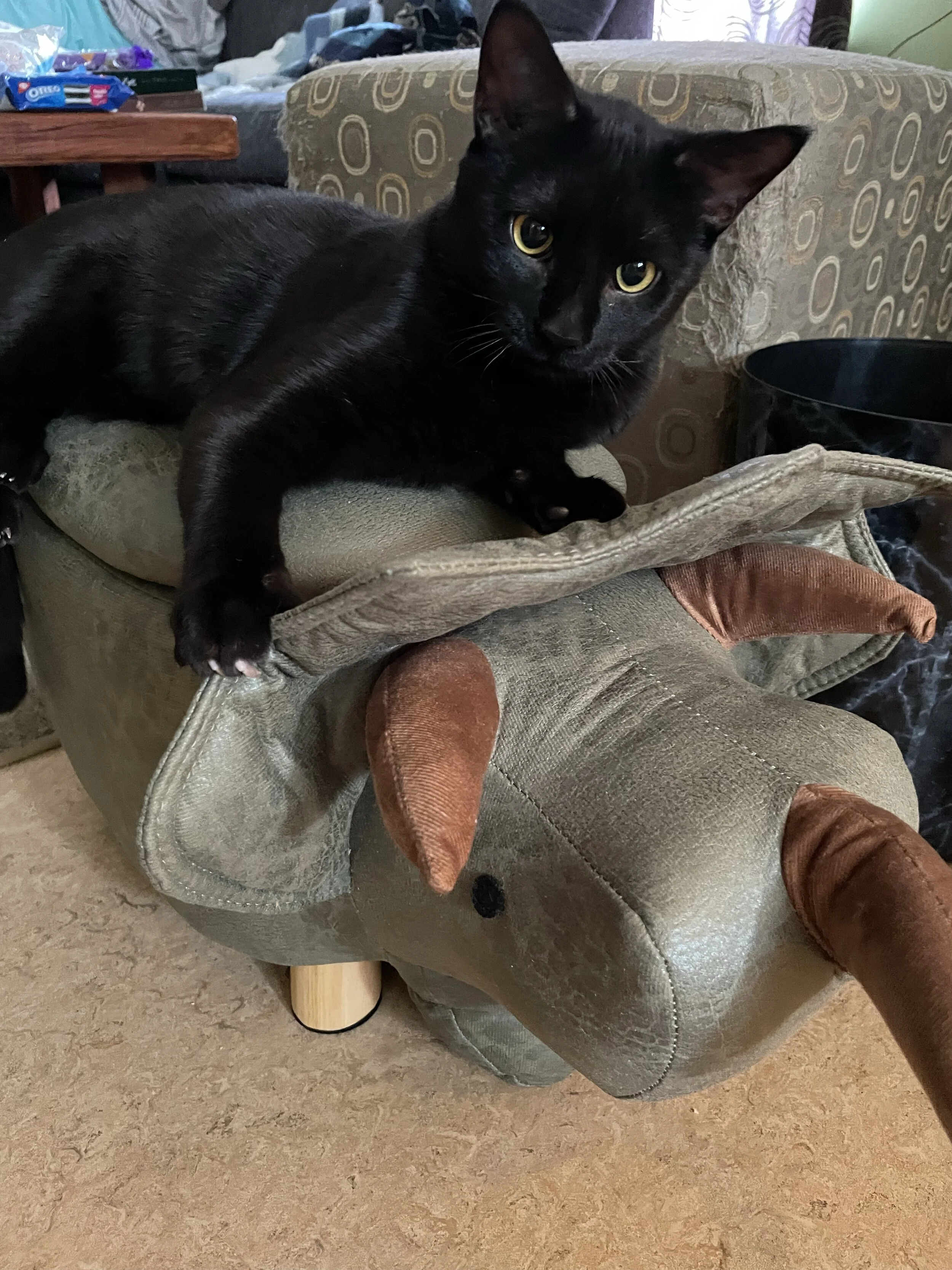 A Little Rant About The Global Supply Chain