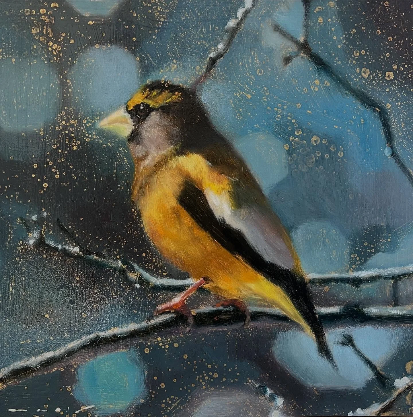 &ldquo;Spring Dreams&rdquo; 16&rdquo;x16&rdquo; oil on gold. #grosbeak #nealyrileyart #contemporarywildlifeart