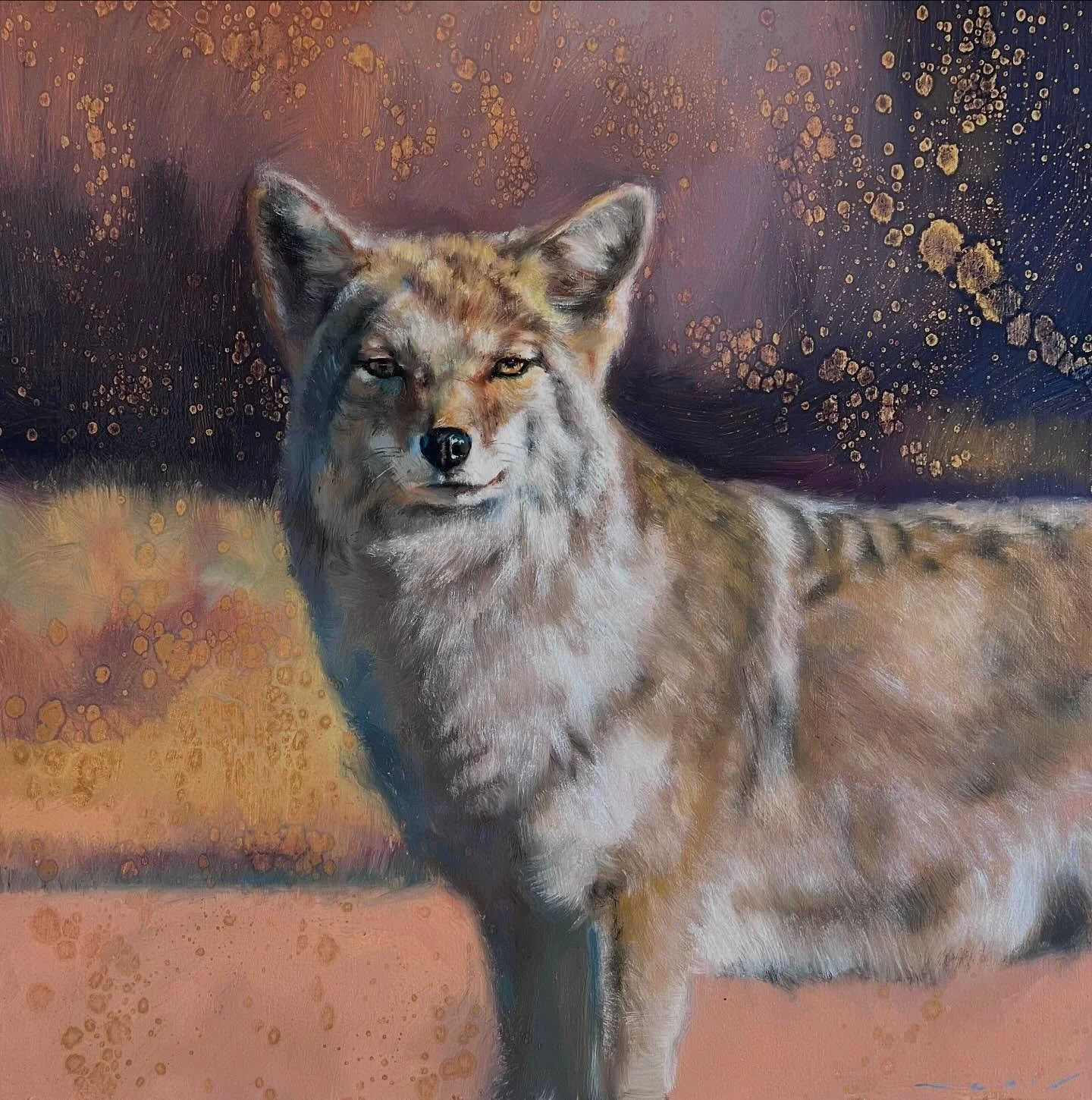 &ldquo;Waiting&rdquo; 36&rdquo;x36&rdquo;, Oil on Gold. Is it just because it&rsquo;s February that I&rsquo;m using all these pinks and purples in my paintings? 😂 Oh well! This coyote looks like he hasn&rsquo;t shed his winter coat - so it must be a