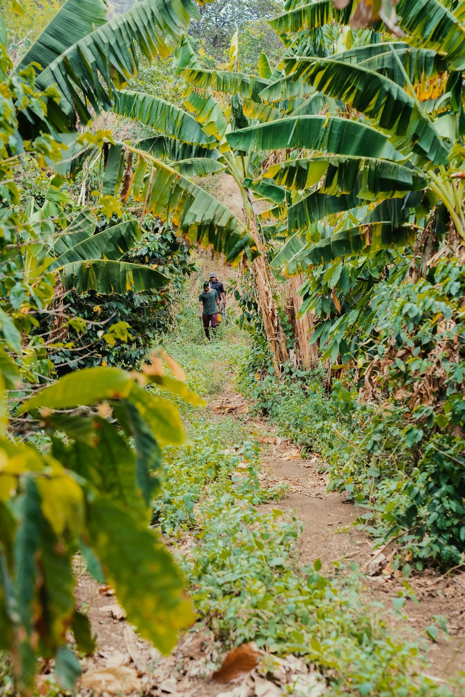 A7305330nicaragua_edited.jpeg