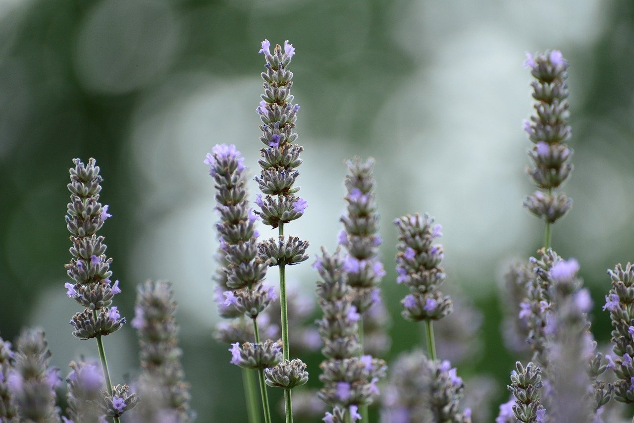 How to Find Healing From Sexual Trauma