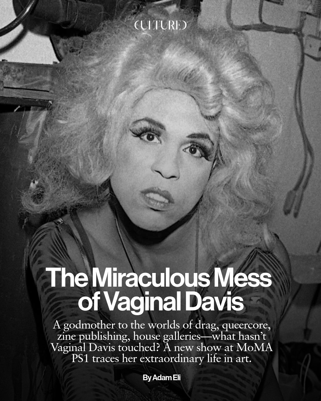 Vaginal Davis-1 (1).png