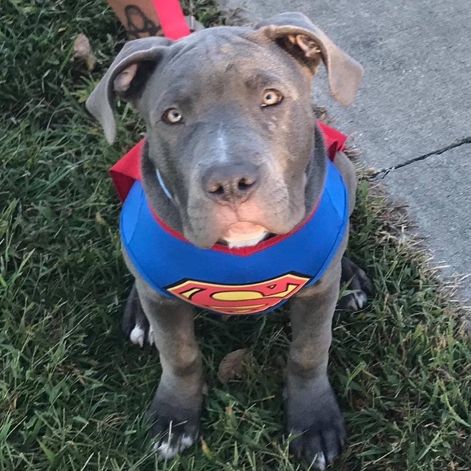 Durango Superman.jpg