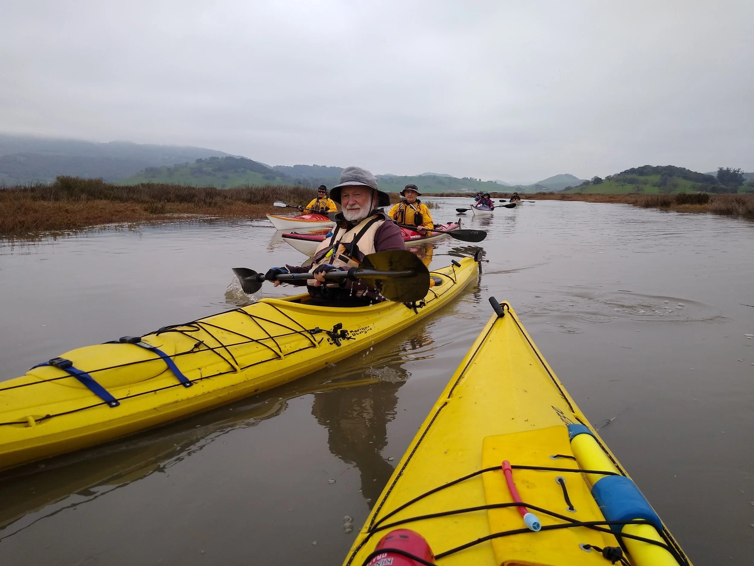 I paddled with the Petaluma Paddlers when they toured the Petaluma Marsh during a king tide.  I have kayaked the marsh many times. That's the bow of my boat. The marsh is at risk from sea level rise. 